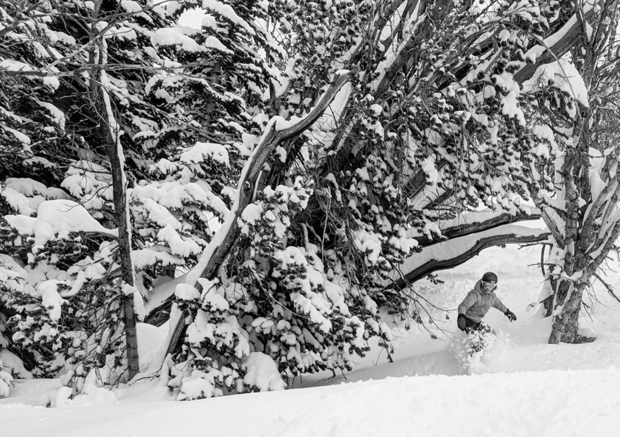 Jackson Hole Mountain Resort - Teton Village, Wyoming