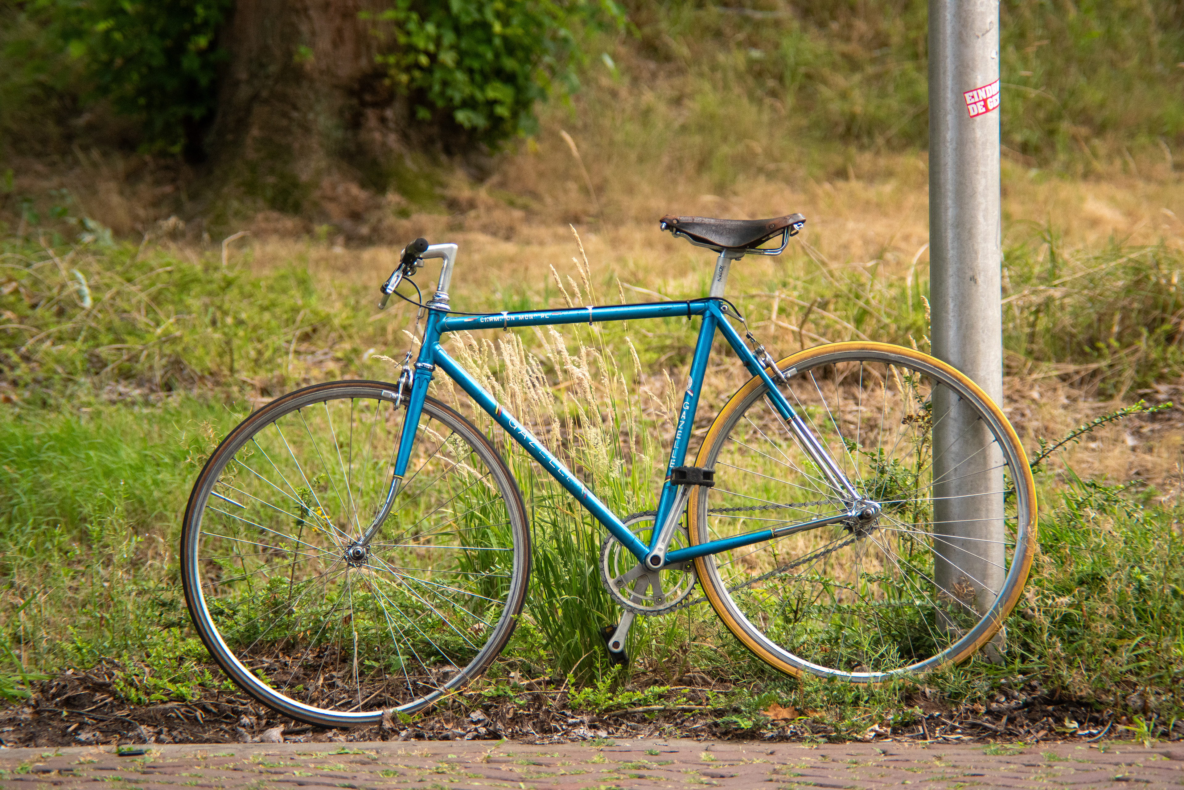 Gazelle Champion Mondial