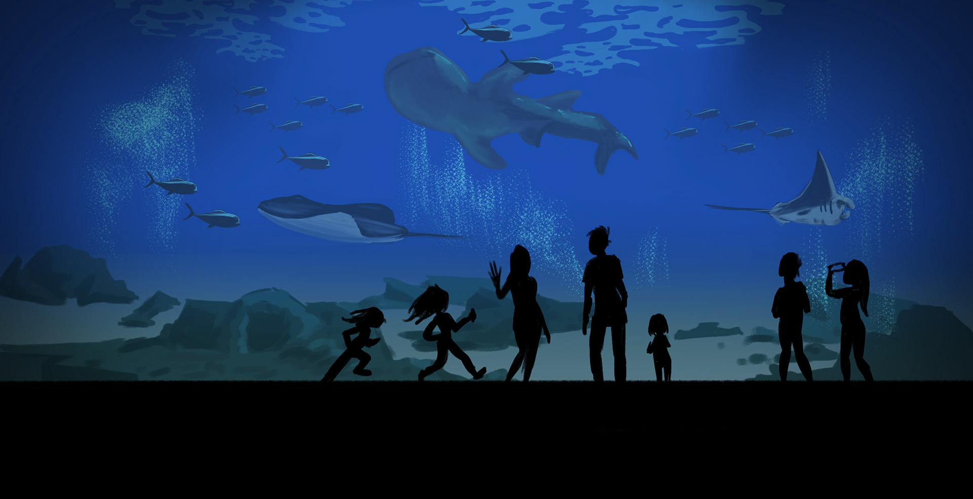 Aquarium Concept