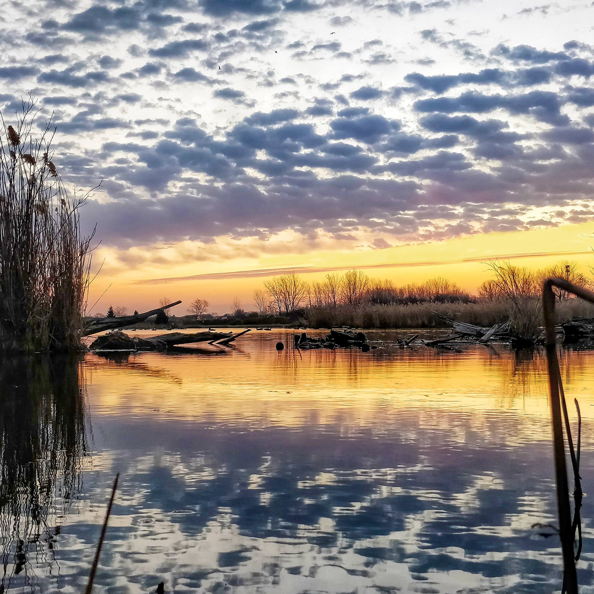 Sunrise On The Pond A-24