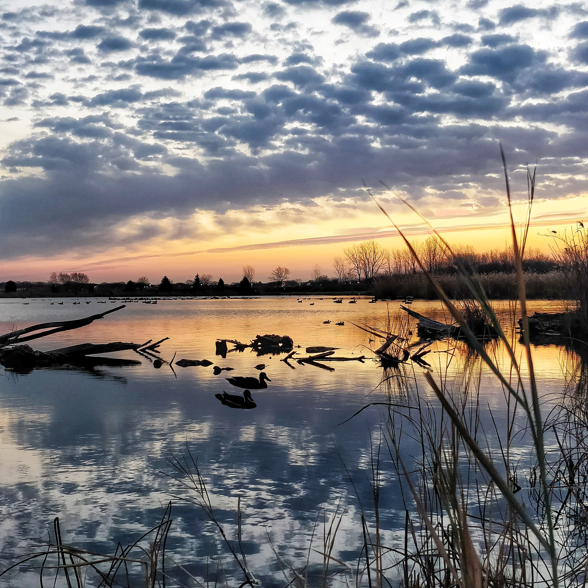 Sunrise On The Pond A-23