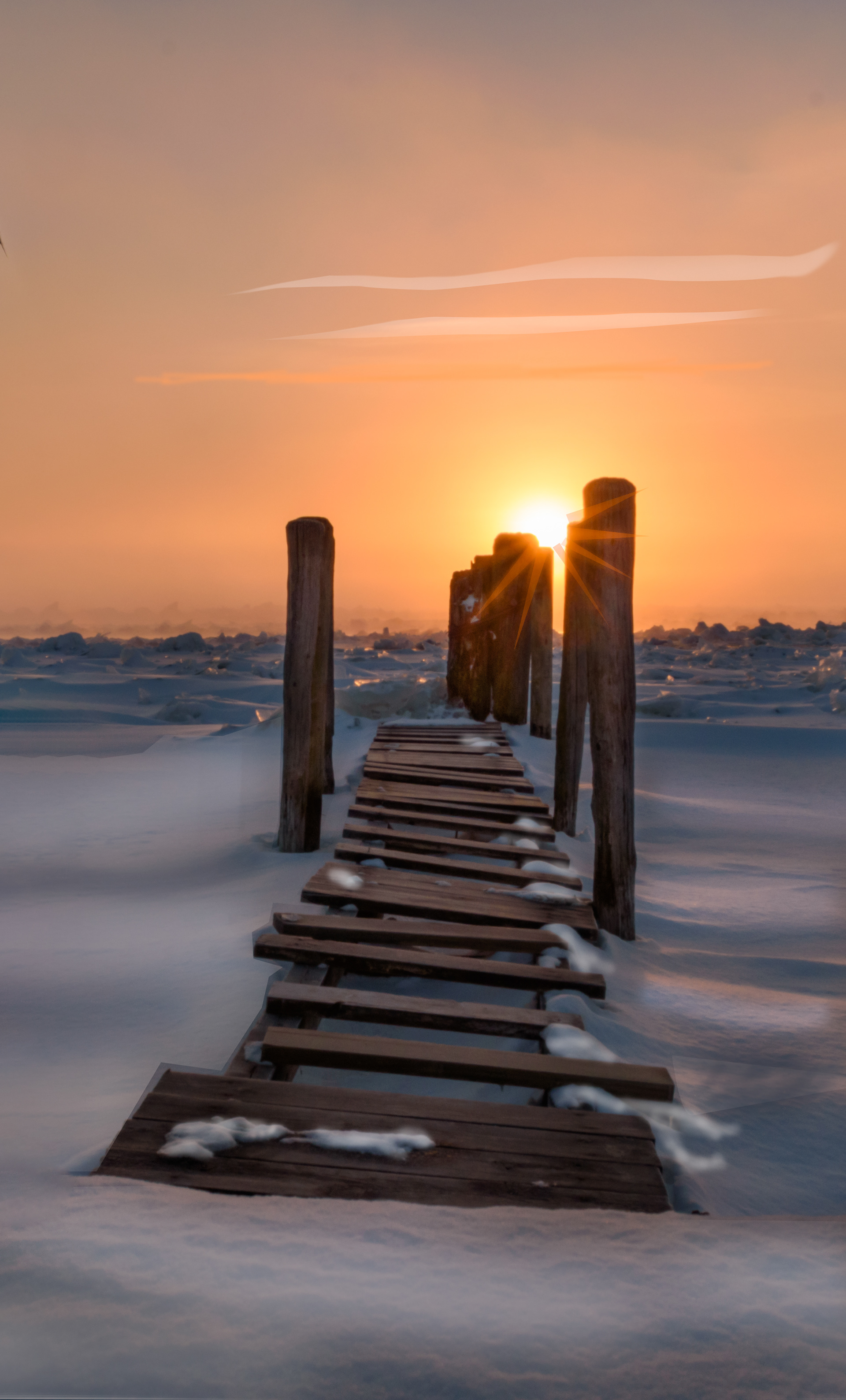 Frozen In Fog And Time Crop A-68