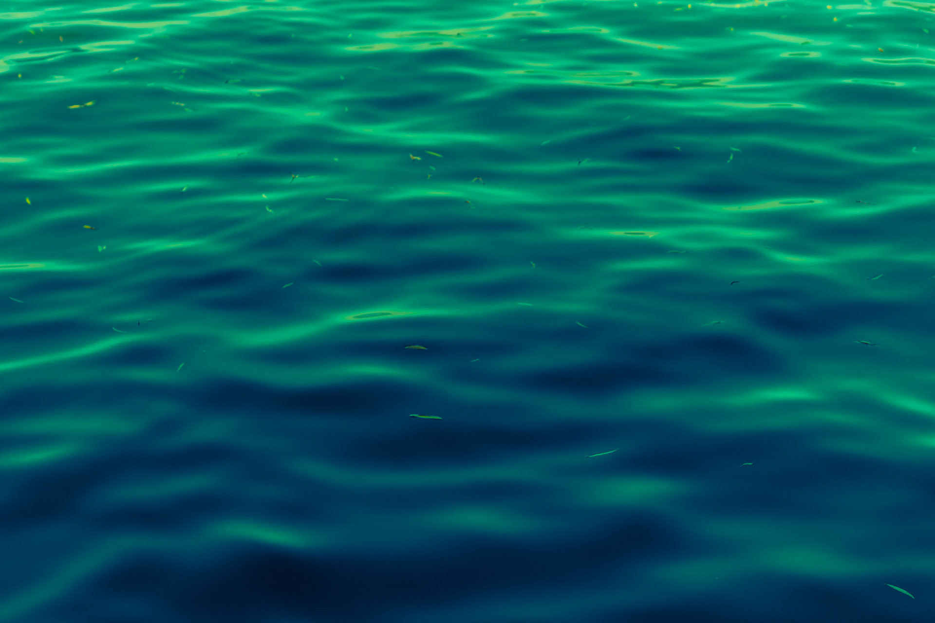 Lake of Green