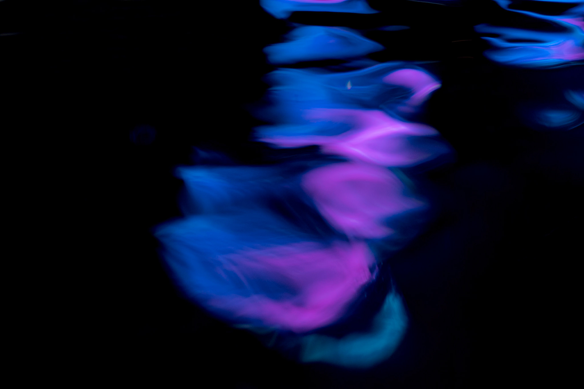 The wind nor the waves