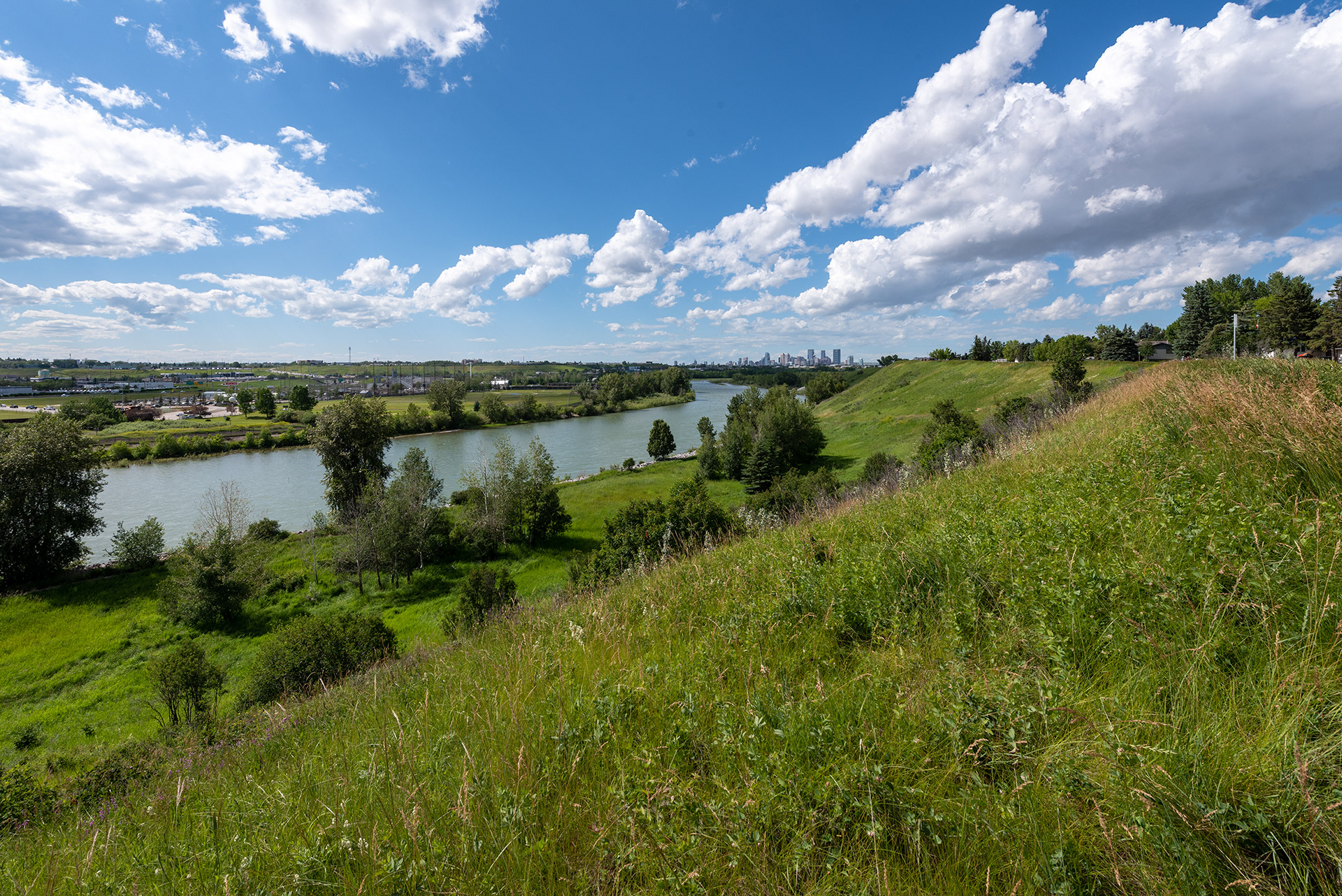 Upstream view of the Bow River from near the Lynwood Area 1 Off Leash Dog Park, Calgary, Alberta