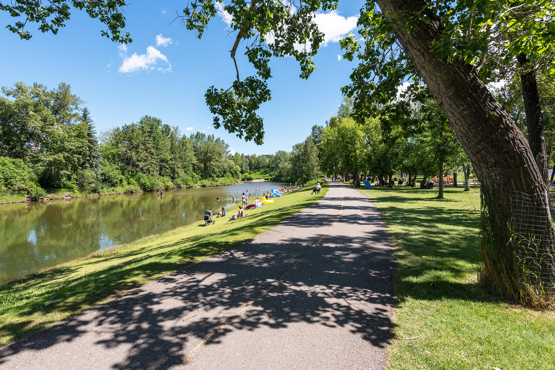 Downstream view of the Elbow River in Stanley Park