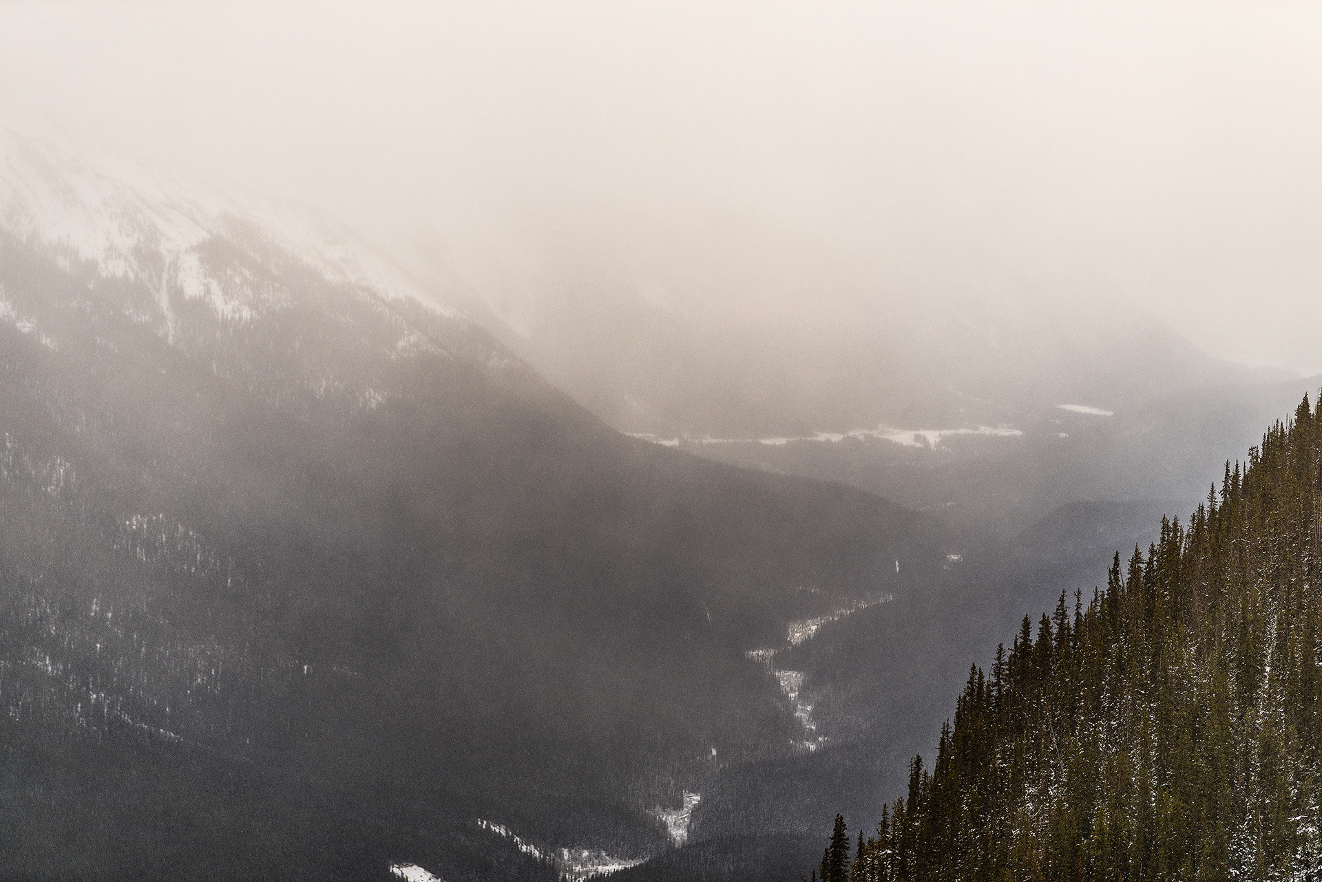 A view from the Sulphur Mountain hiking trail in Banff National Park