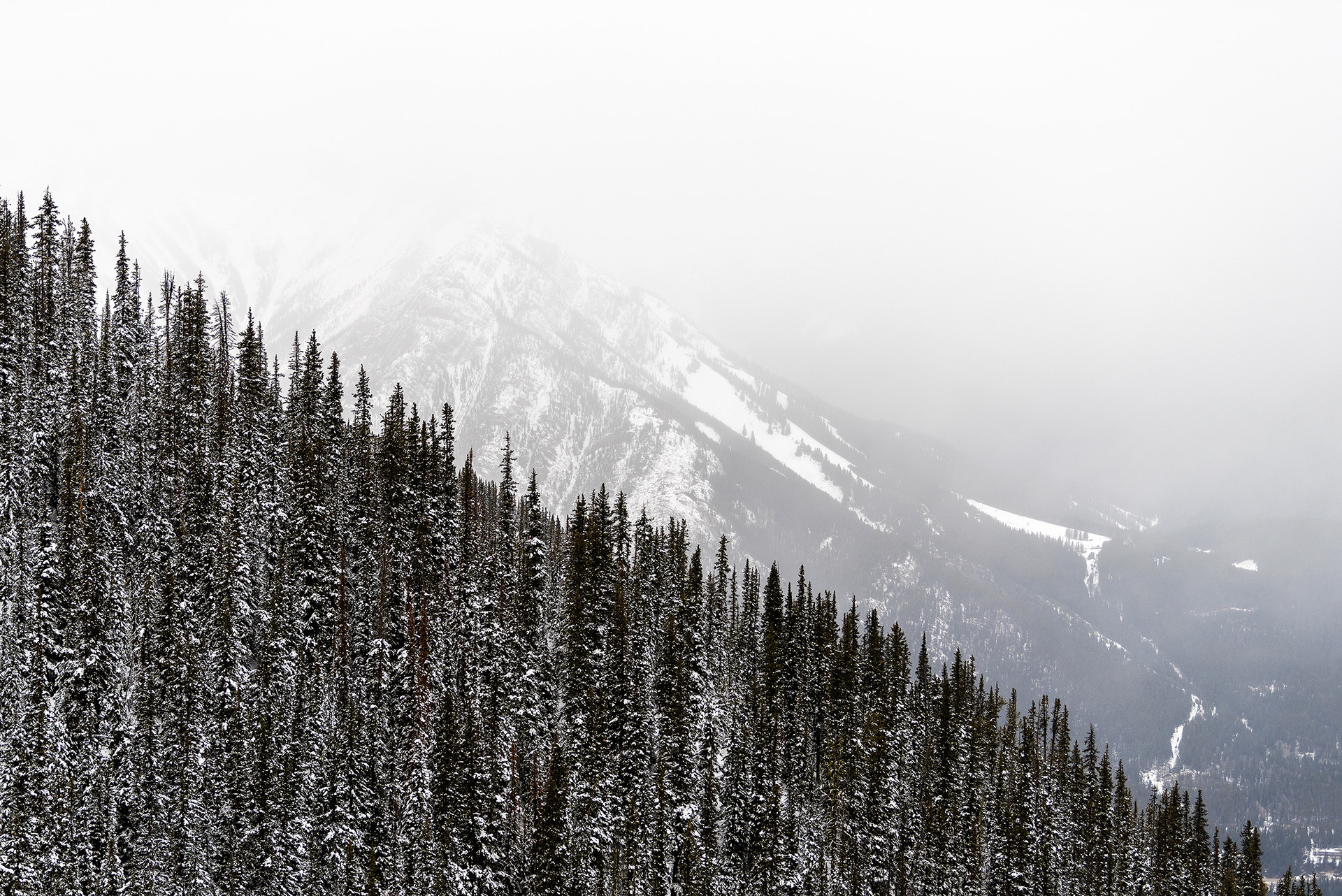 A view from the Sulphur Mountain hiking trail in Banff National Park