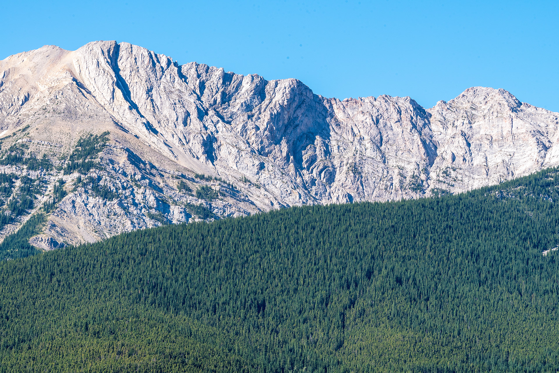 portion of the Livingstone Range