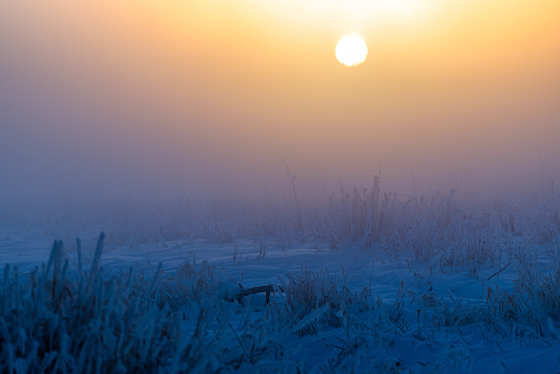 Sunrise near the Bow River in the Mallard Point area of Fish Creek Provincial Park