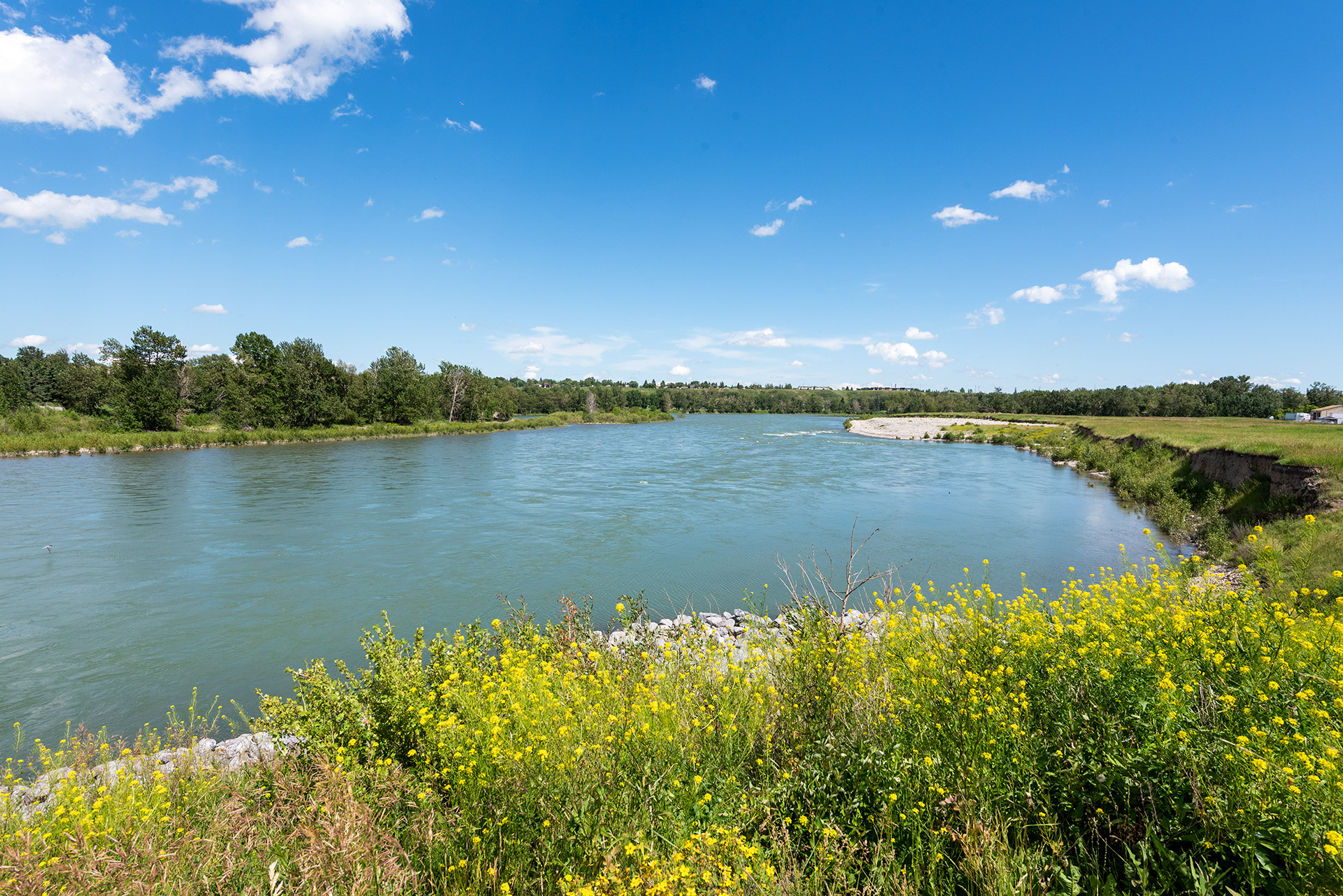 Downstream view of the Bow River from near the Inglewood Bird Sanctuary & Nature Centre, Calgary, Alberta