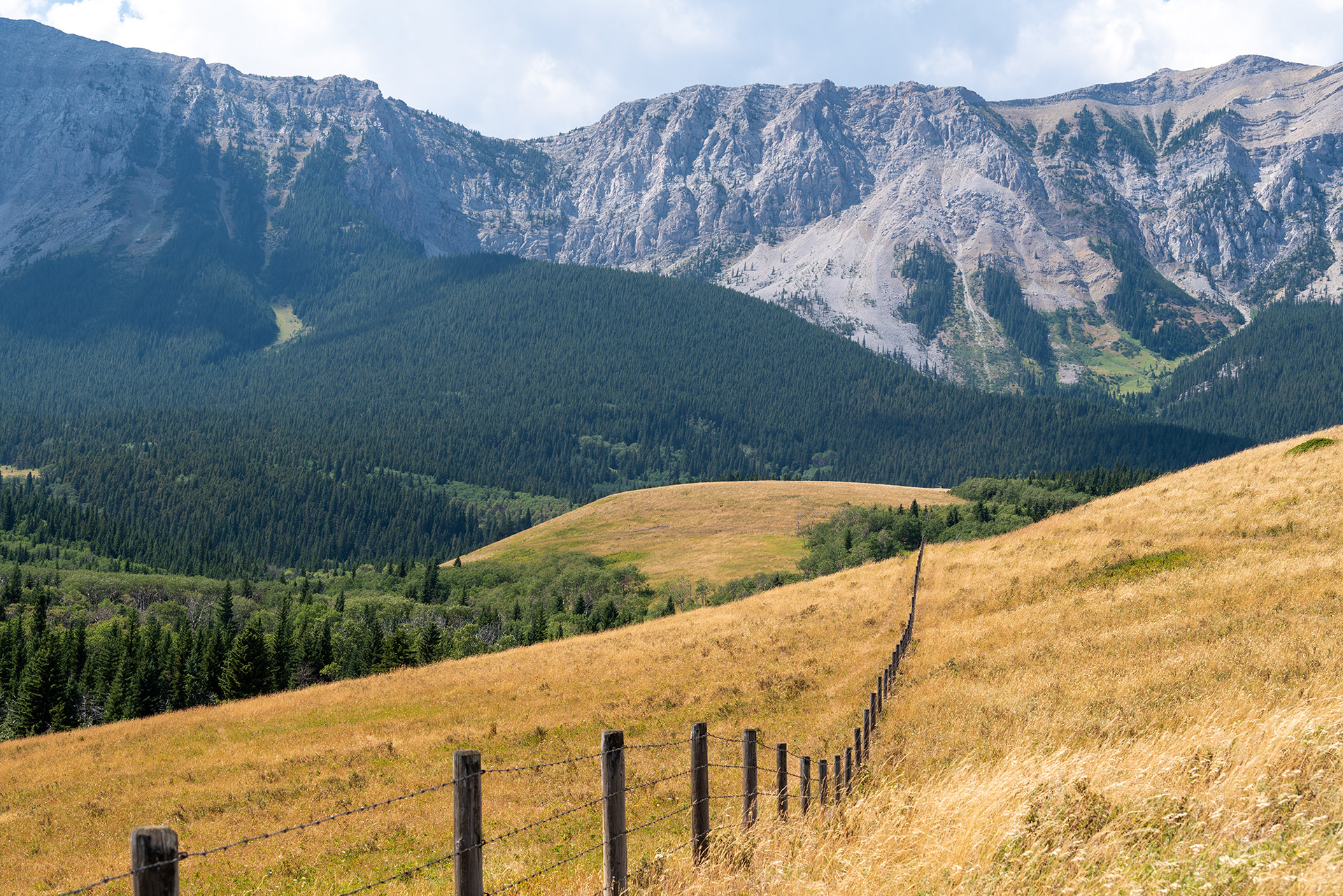 Livingstone Range