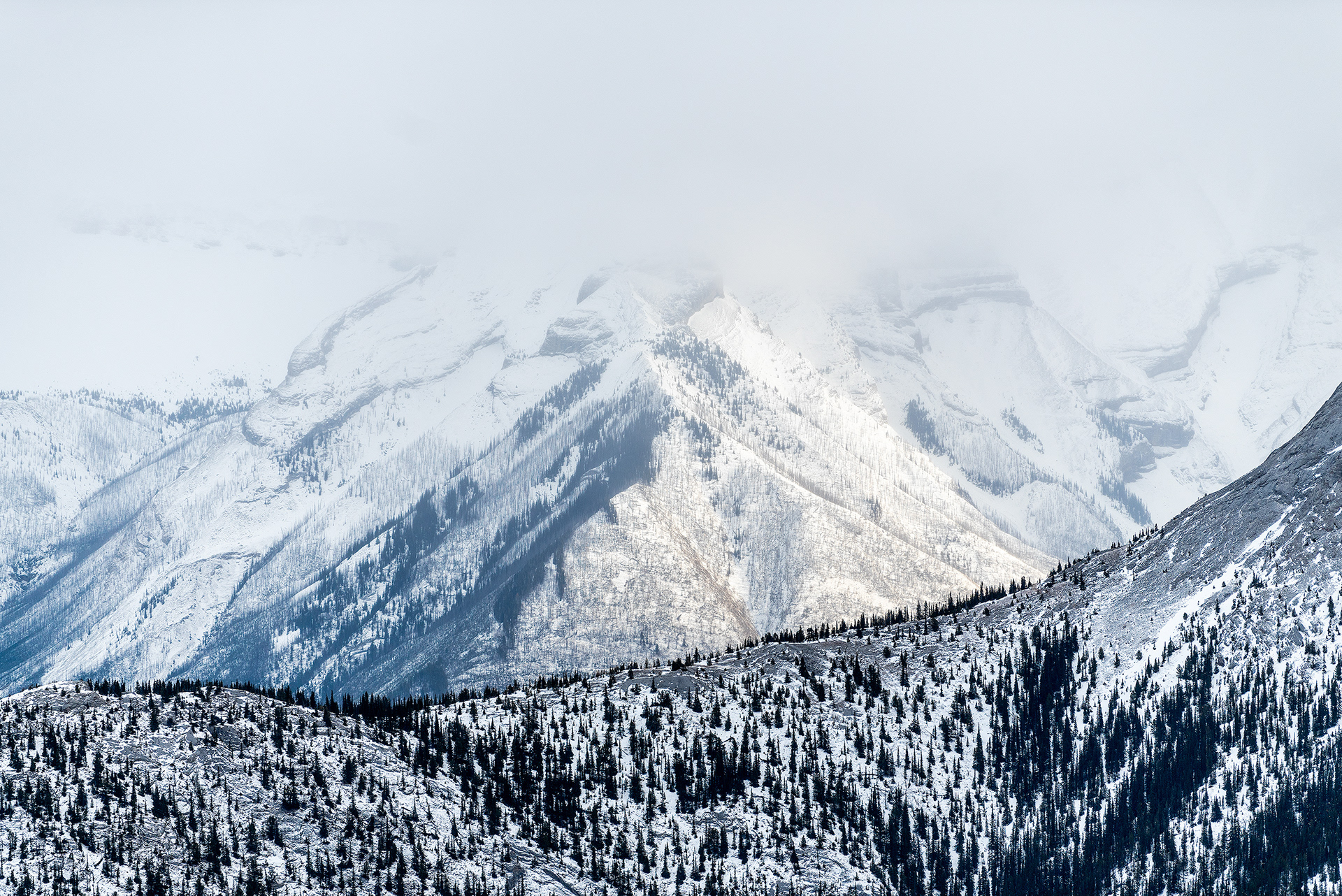 A view from the Sulphur Mountain hiking trail in Banff National Park