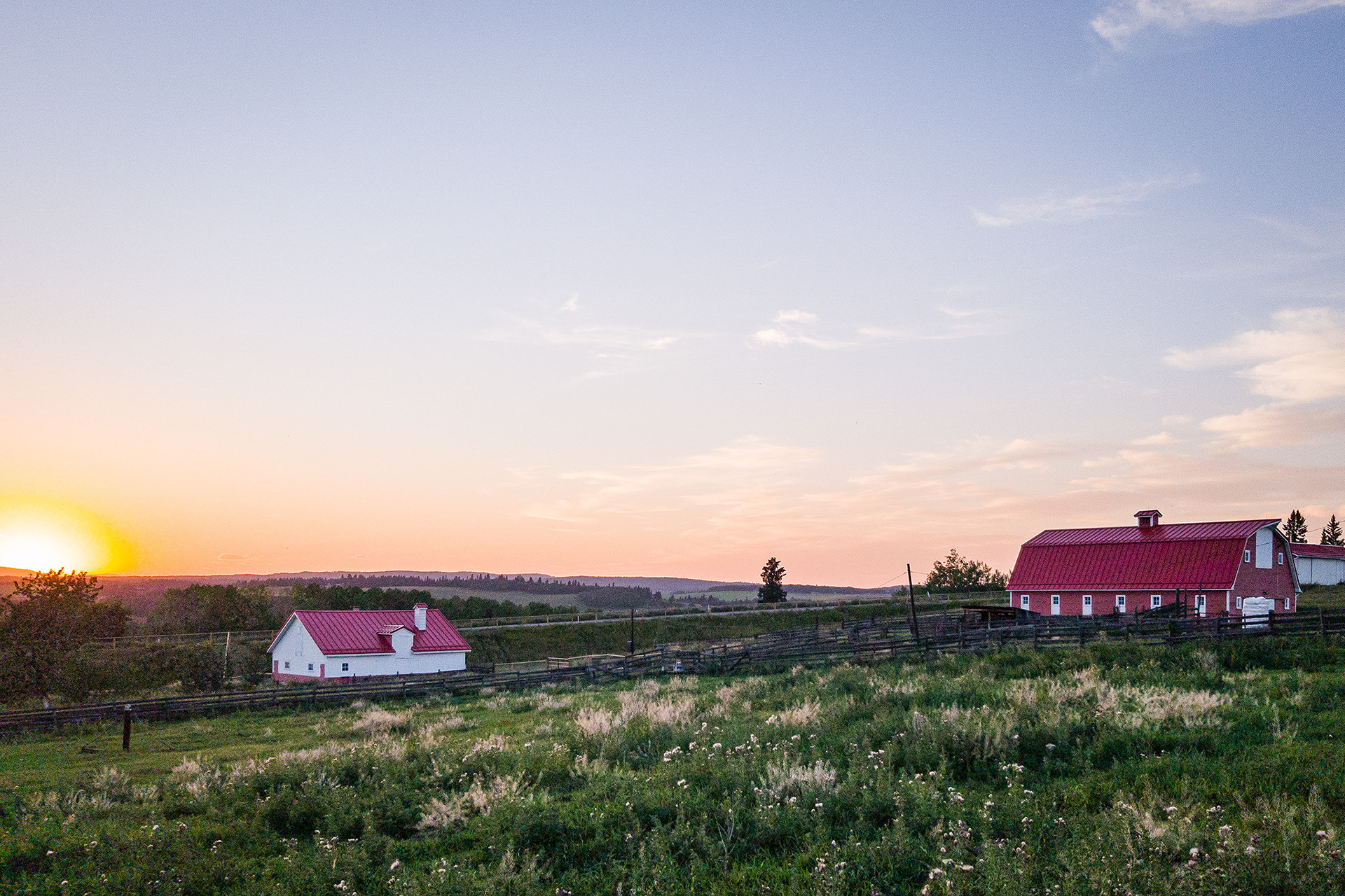 Farm at Sunset, Foothills, AB