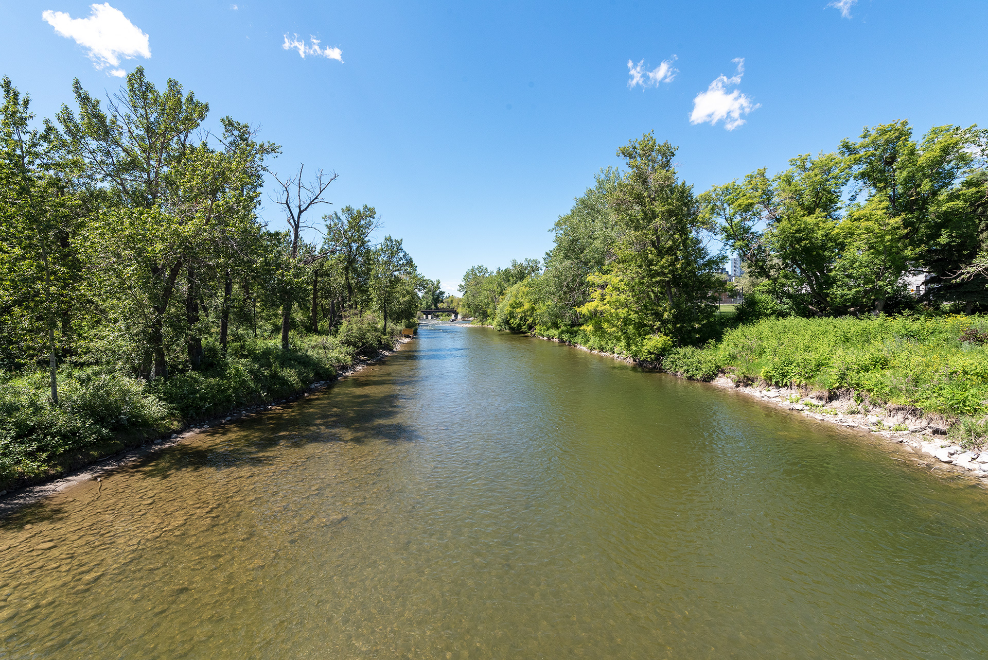 Upstream view of the Elbow River from on 1st Street SE bridge