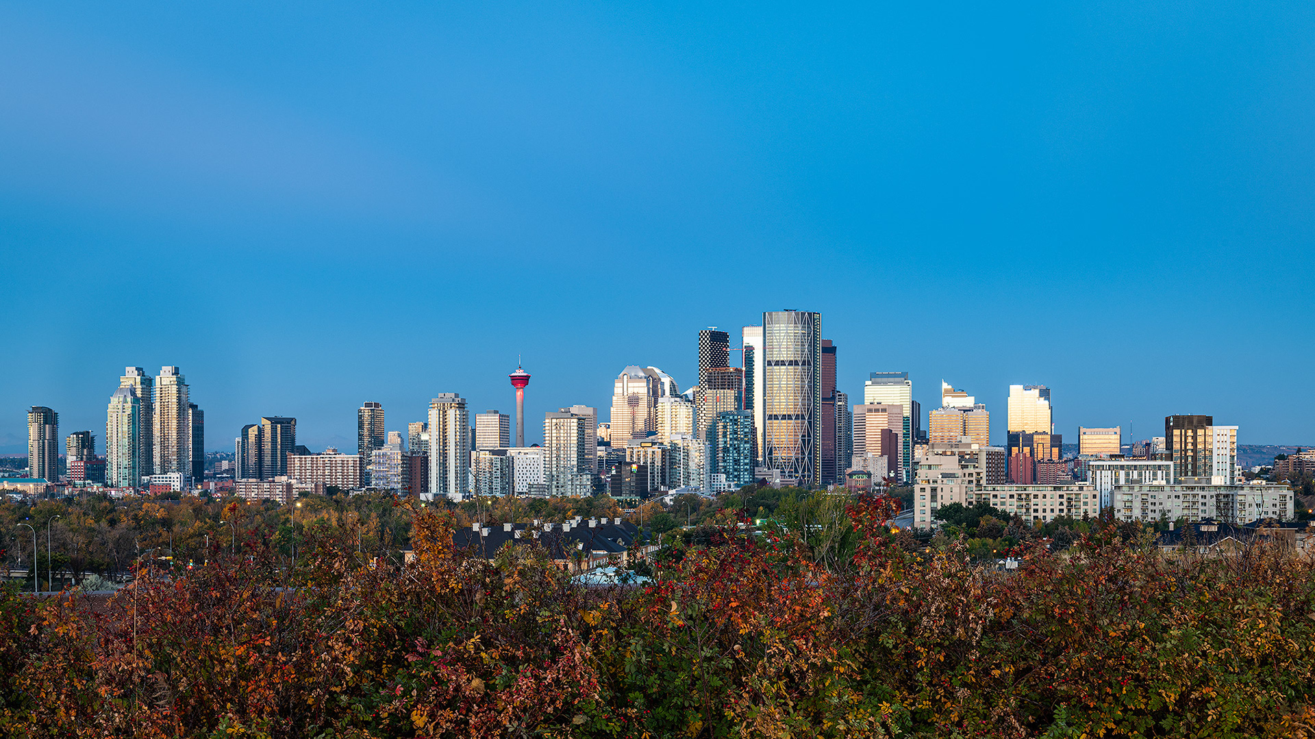 The Downtown Calgary skyline, from Tom Campbell's Hill Natural Park, Calgary, AB - October 2nd (7:18 AM, 36 Mp)