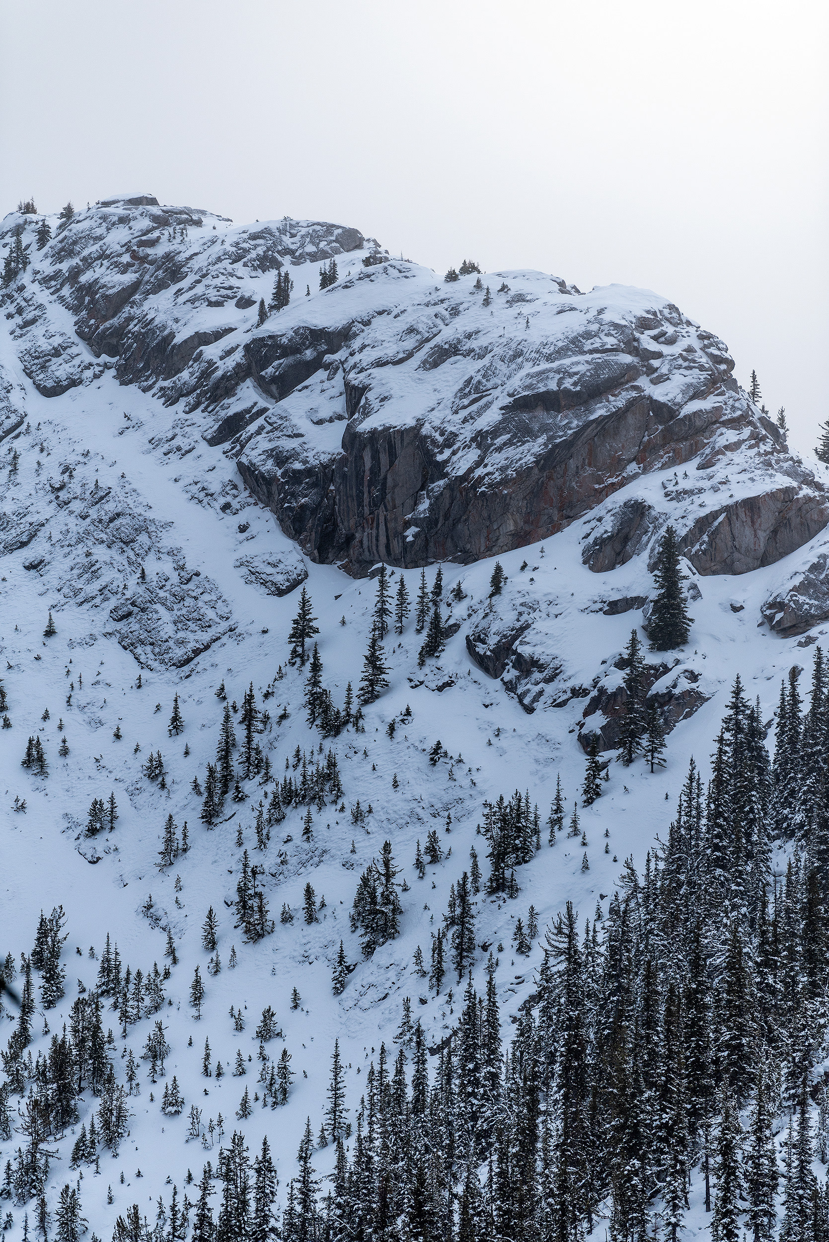 A view from the Sulphur Mountain hiking trail in Banff National Park