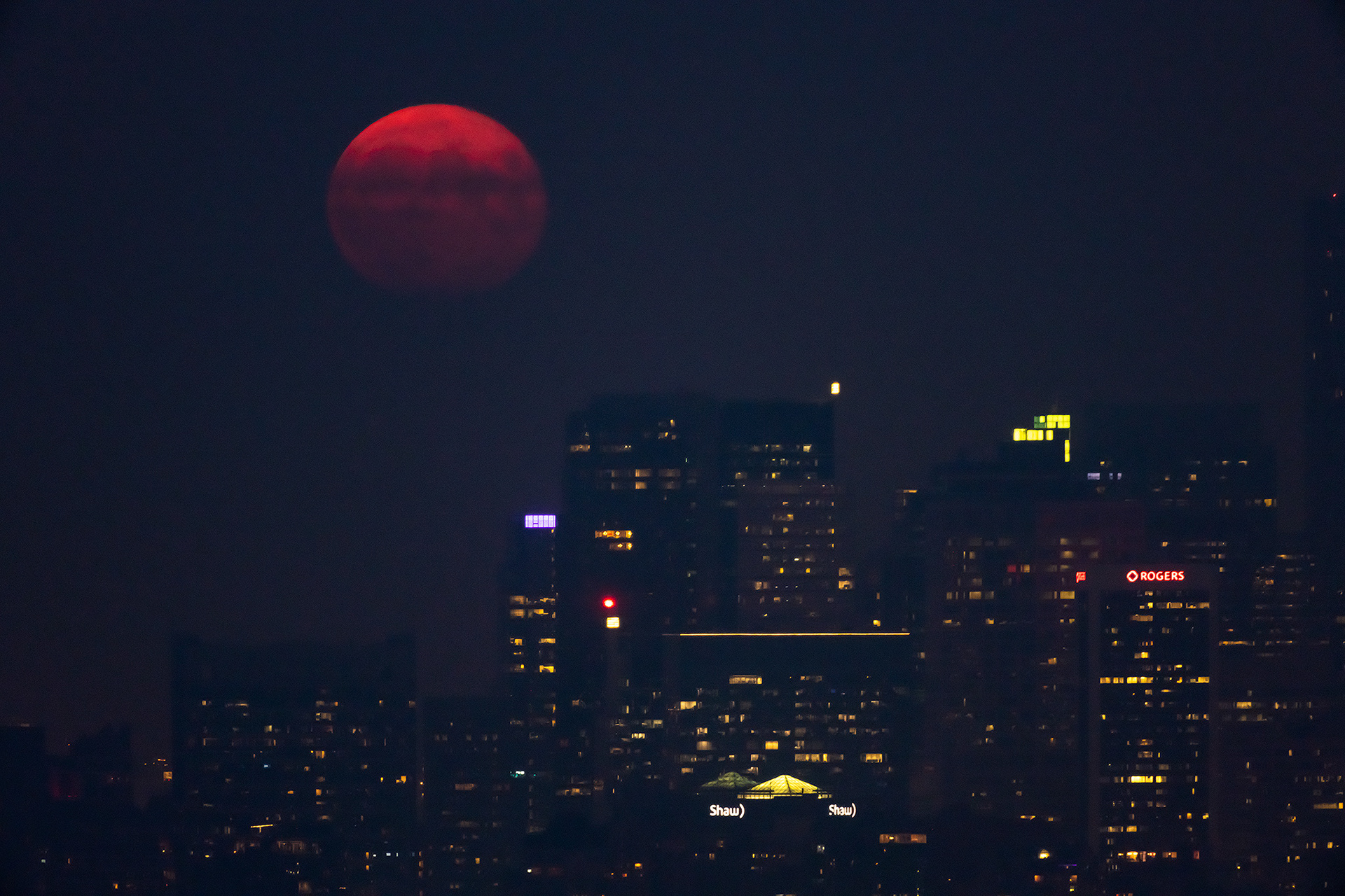 5x4 Cityscape of the tops of some North Downtown Calgary buildings with the Harvest Moon, from Edworthy Park, Calgary, AB
