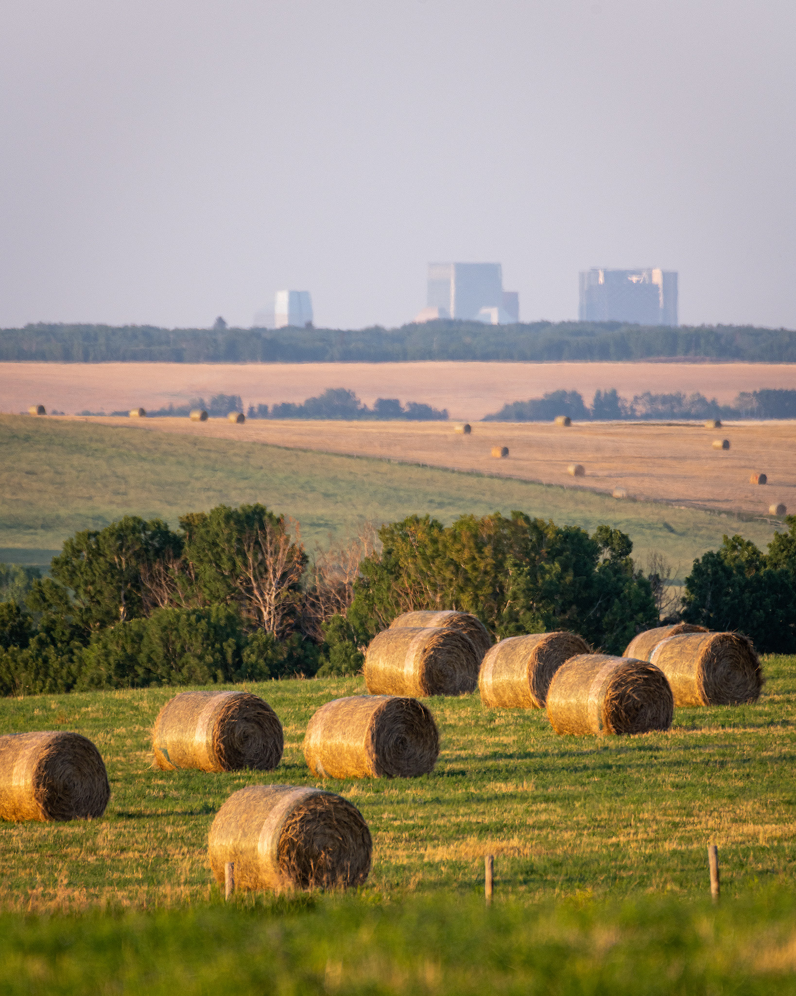 Hay bails, Foothills, AB