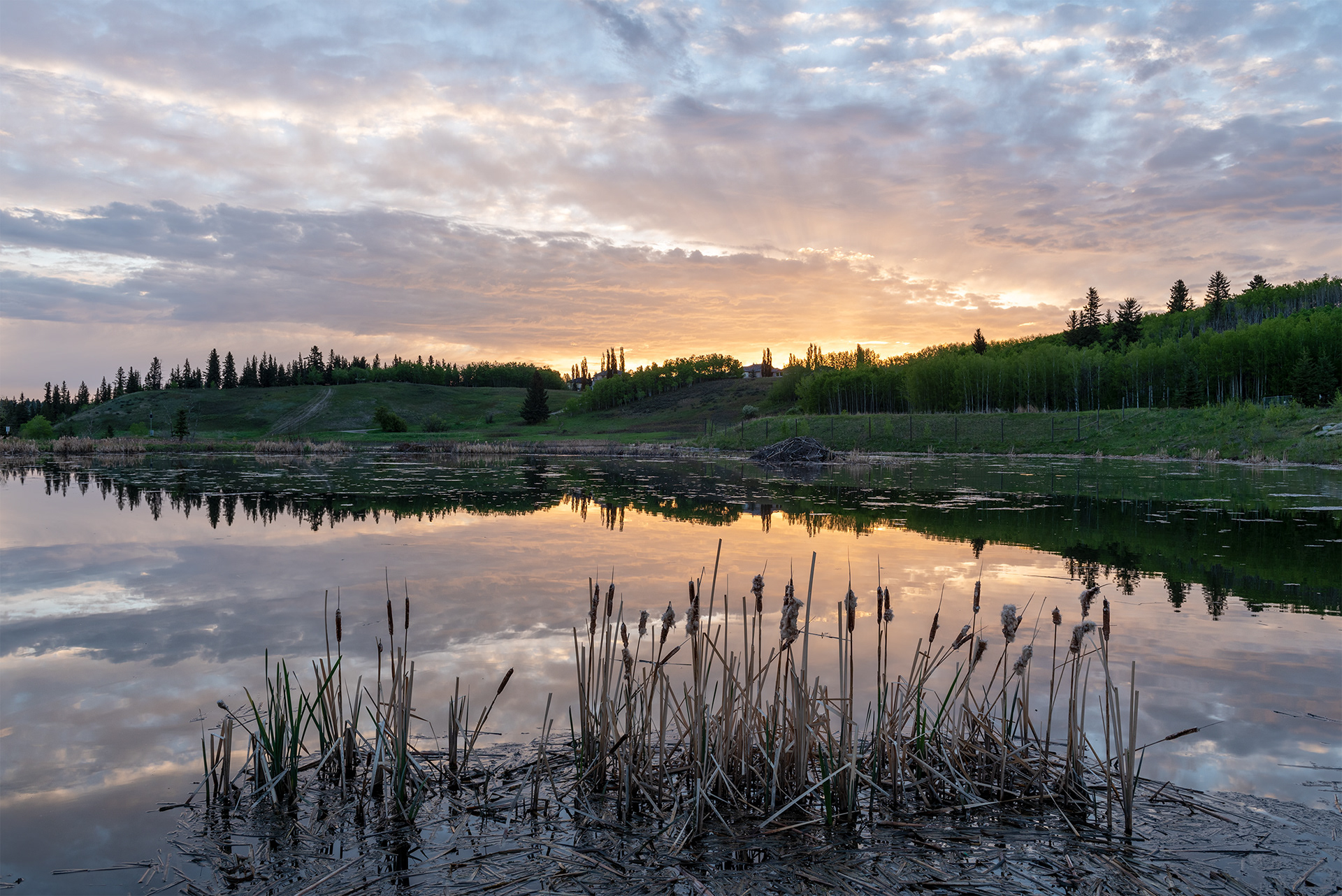sunrise, Marshall Springs, Fish Creek Provincial Park, Calgary, Alberta