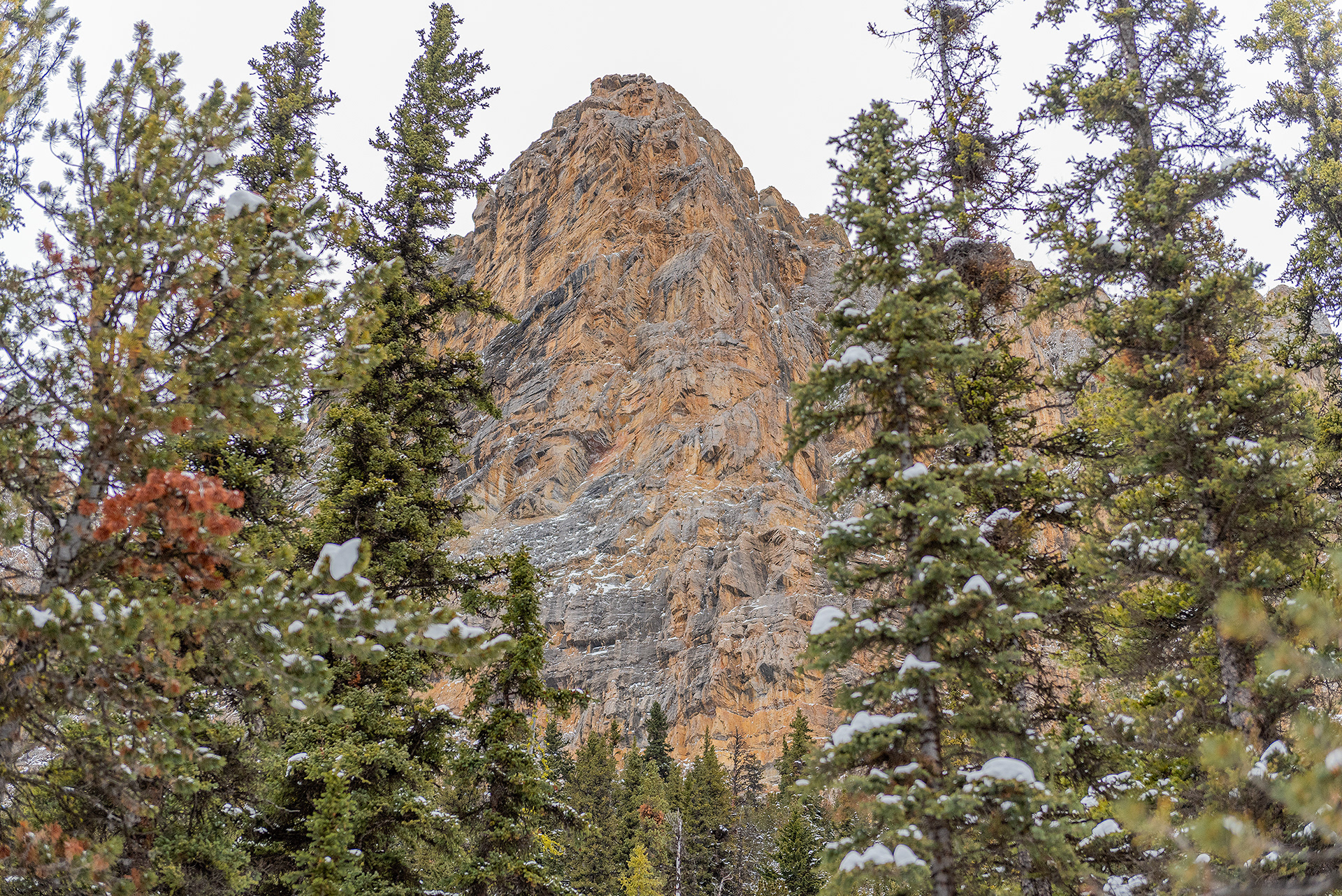 An upward view of part of Castle Mountain from the Castle Lookout hiking trail in Banff National Park, AB