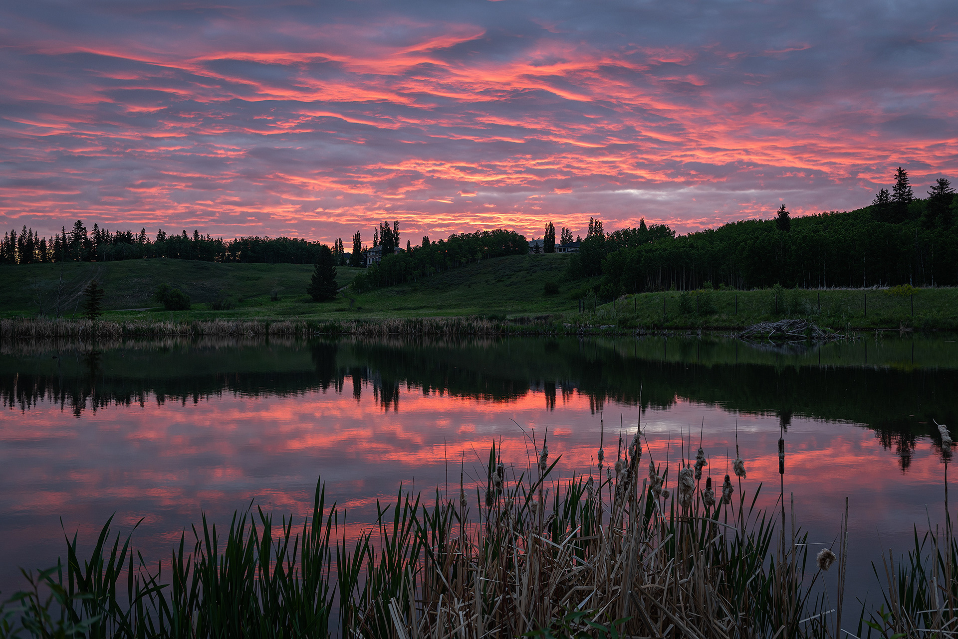 Landscape of a portion of the Marshall Springs ponds area [Sunrise, Civil Twilight, Golden Hour (Sun elevation -0.25 degrees)], Fish Creek Provincial Park, Calgary, AB