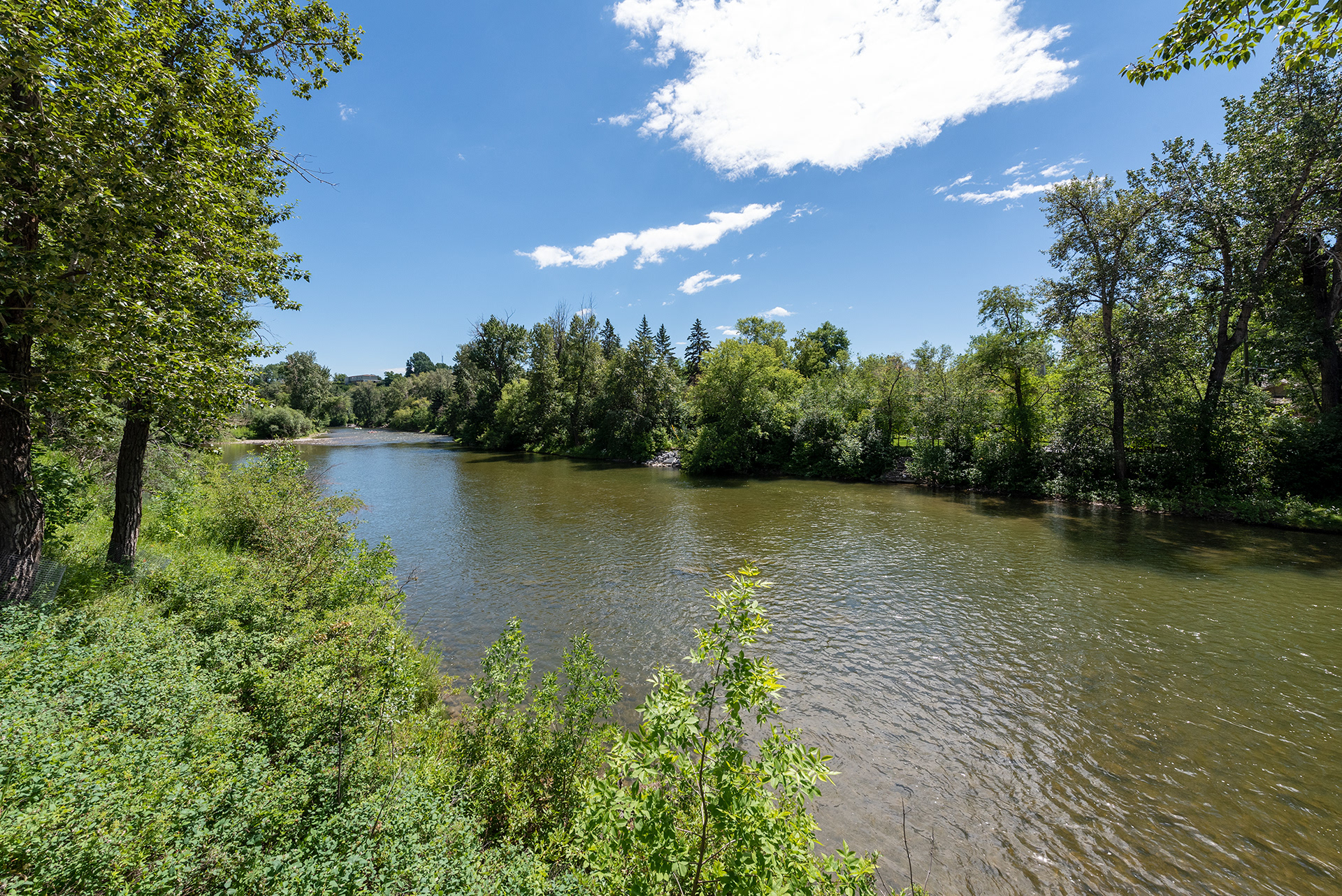 View of the Elbow River from near Rideau Park