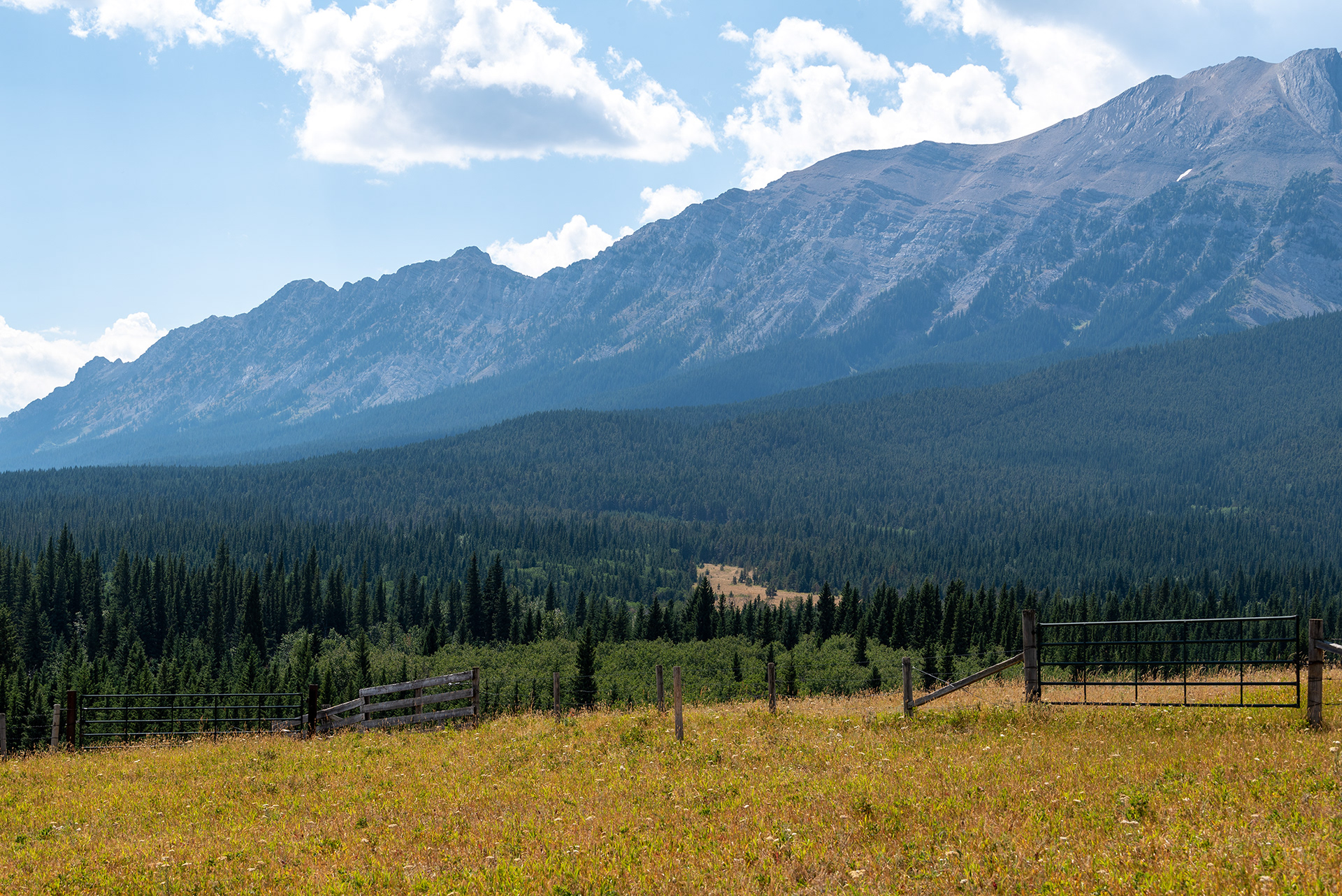 Livingstone Range
