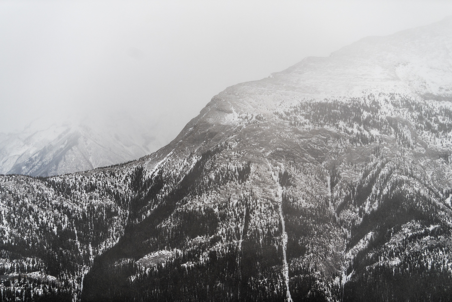 A view from the Sulphur Mountain hiking trail in Banff National Park