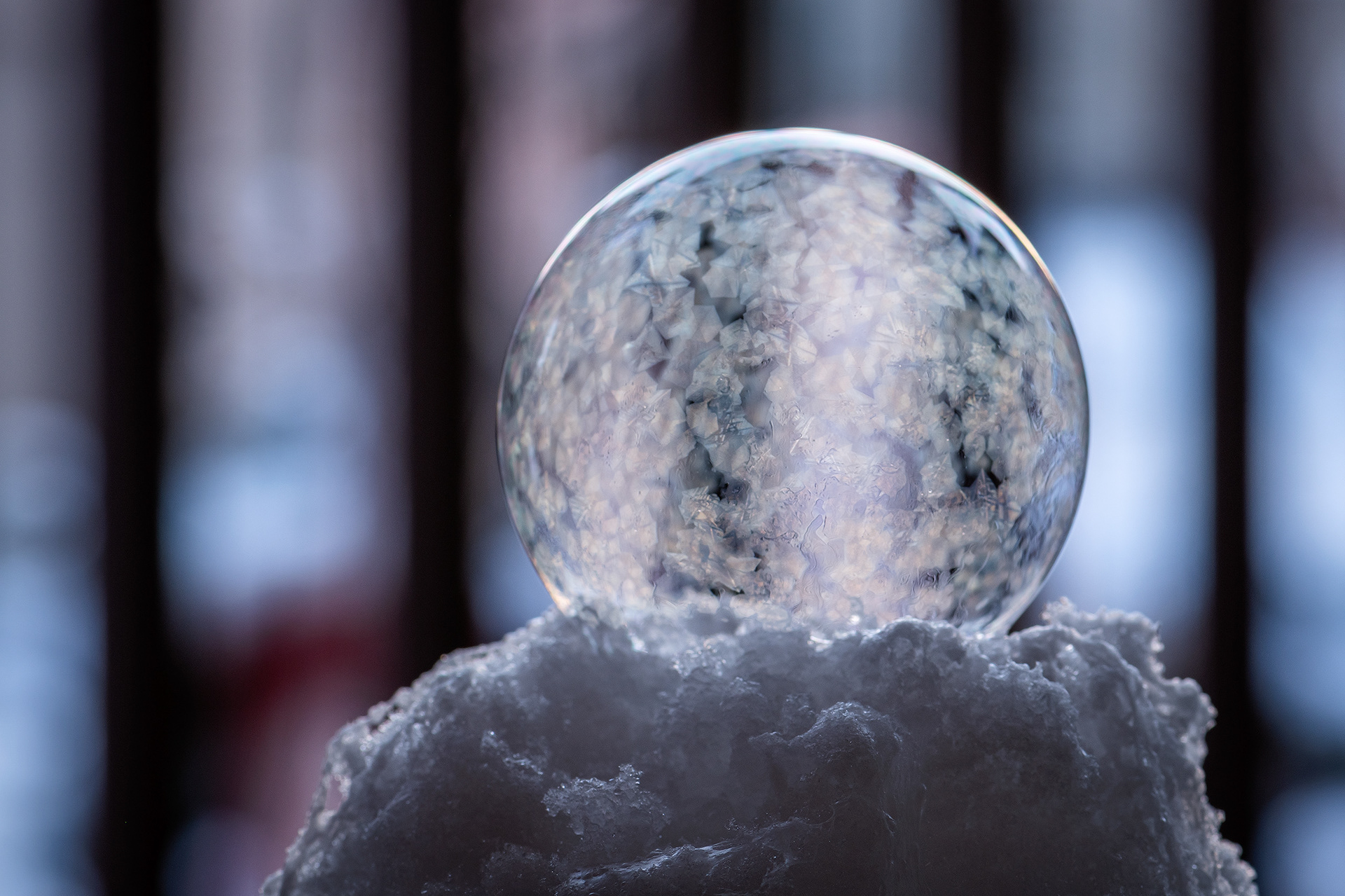 Frozen Bubble experiment (-19 degrees Celsius), Calgary, AB