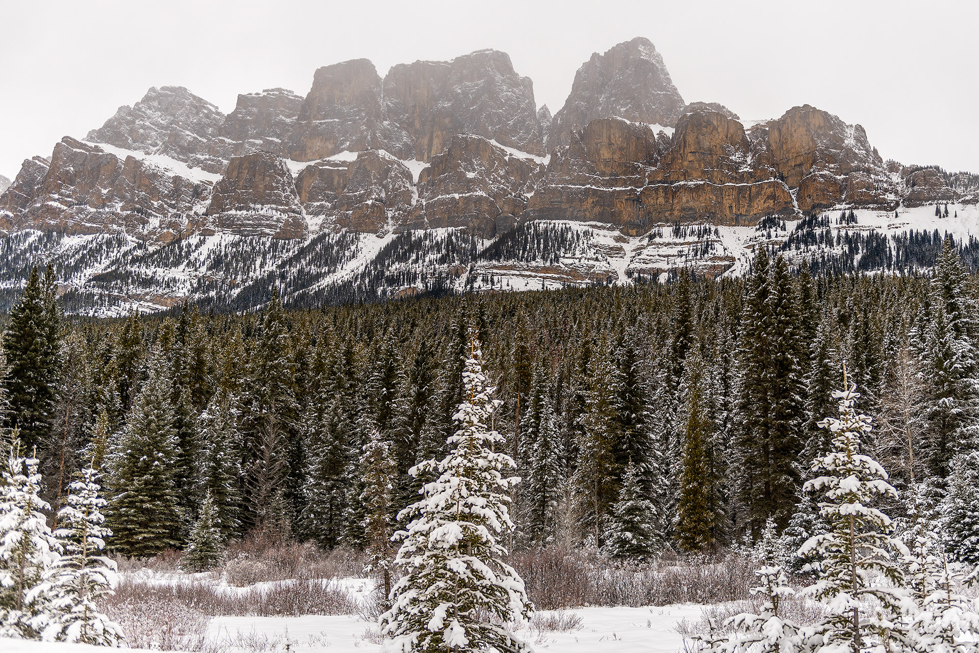 A view of Castle Mountain from the Bow Valley Pkwy in Banff National Park, AB