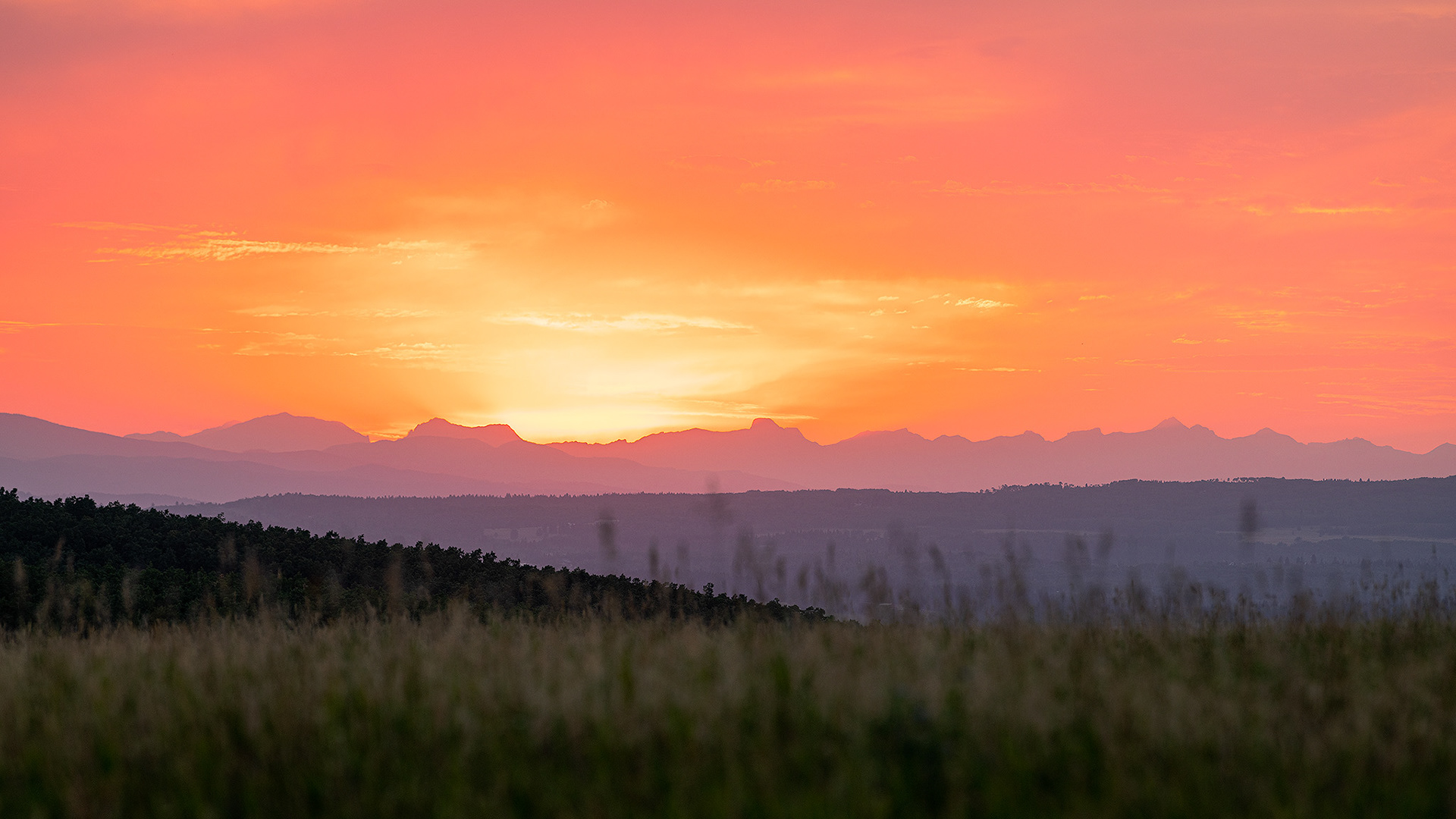 Sunset looking West, from Ann & Sandy Cross Conservation Area, Foothills, AB