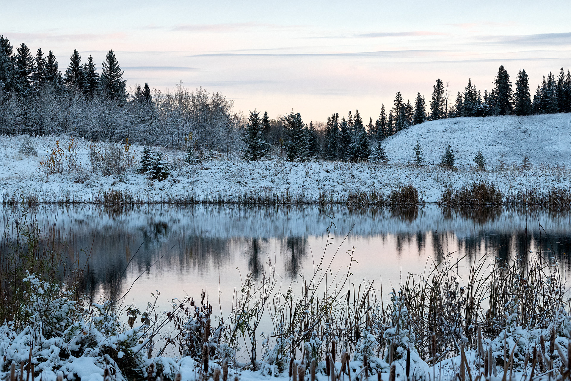 Sunup at the Marshall Springs ponds in Fish Creek Provincial Park