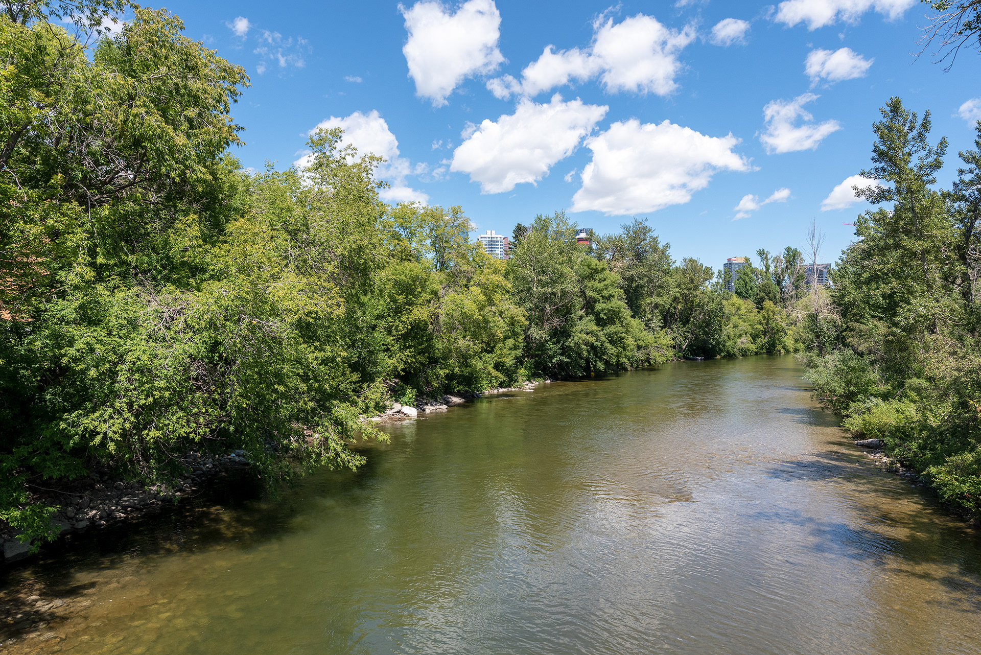 View of the Elbow River from Lindsay Park