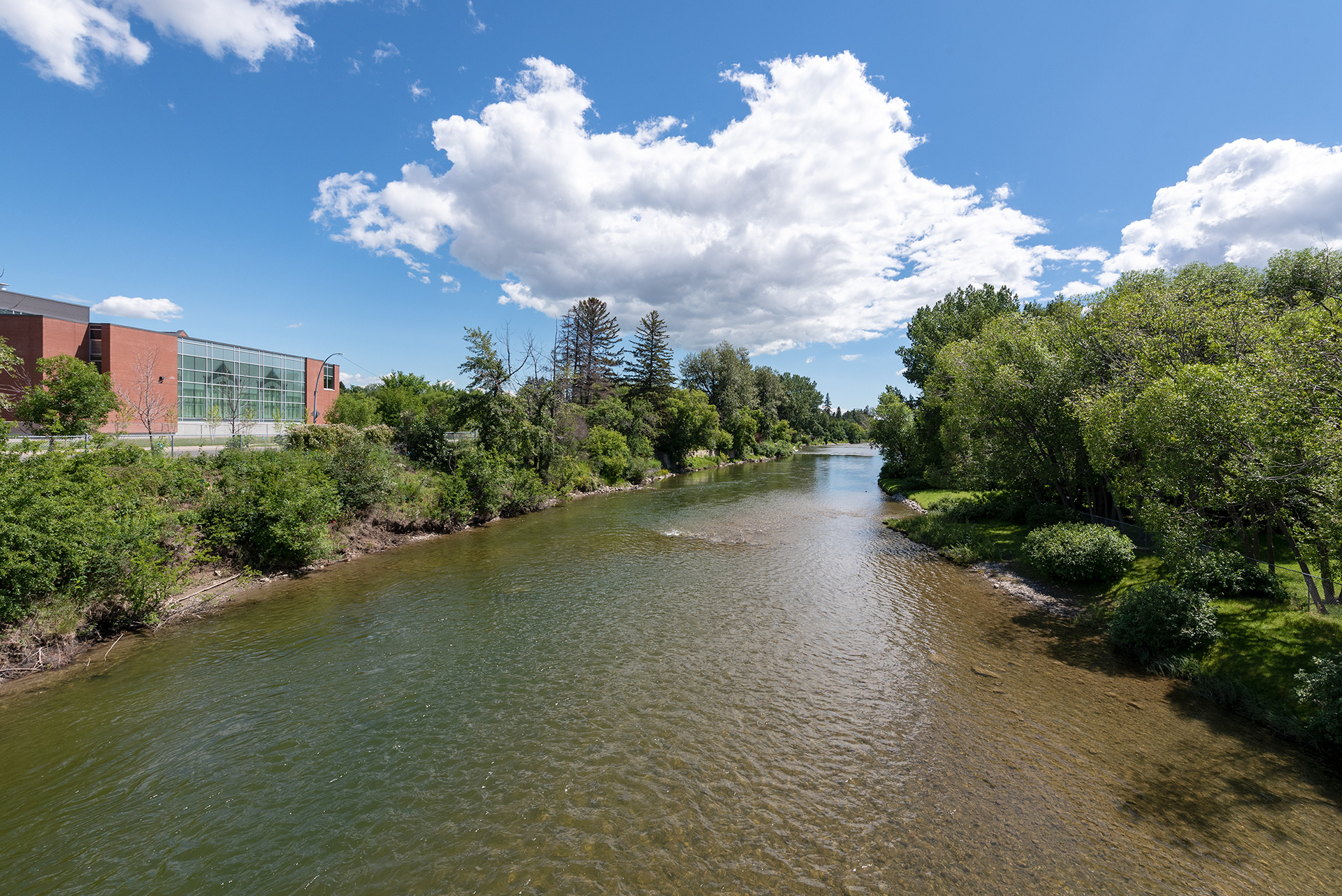Downstream view of the Elbow River from on the Riverdale Avenue Footbridge