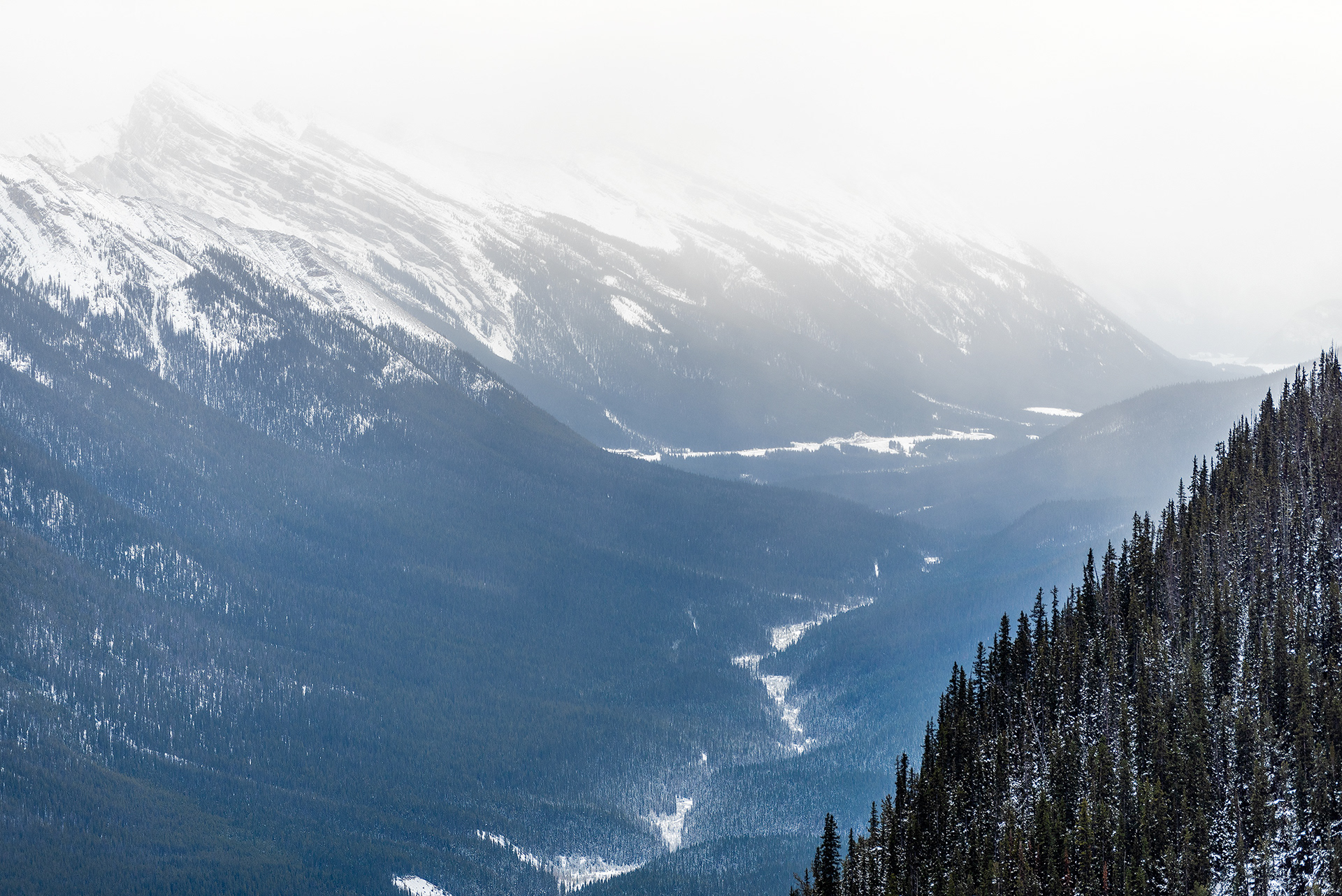 A view from the Sulphur Mountain hiking trail in Banff National Park