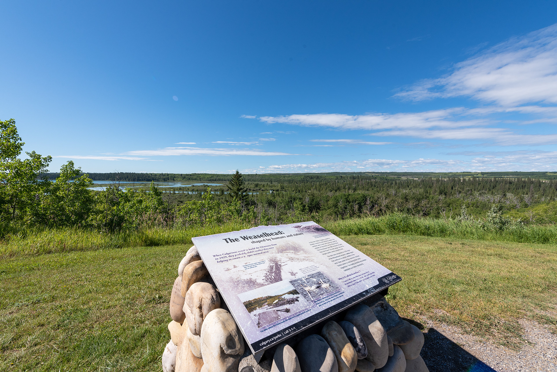 View from the ridge, overlooking Weaselhead Flats