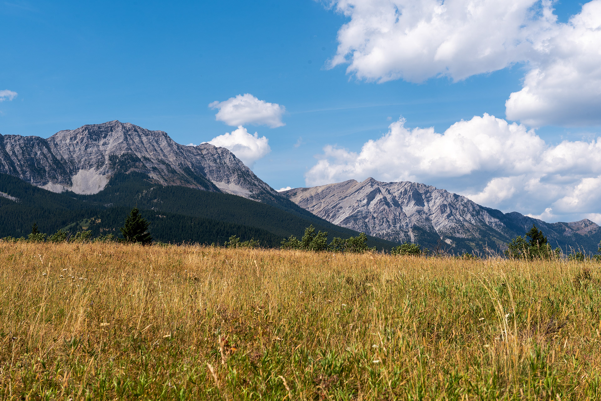 Livingstone Range, portion