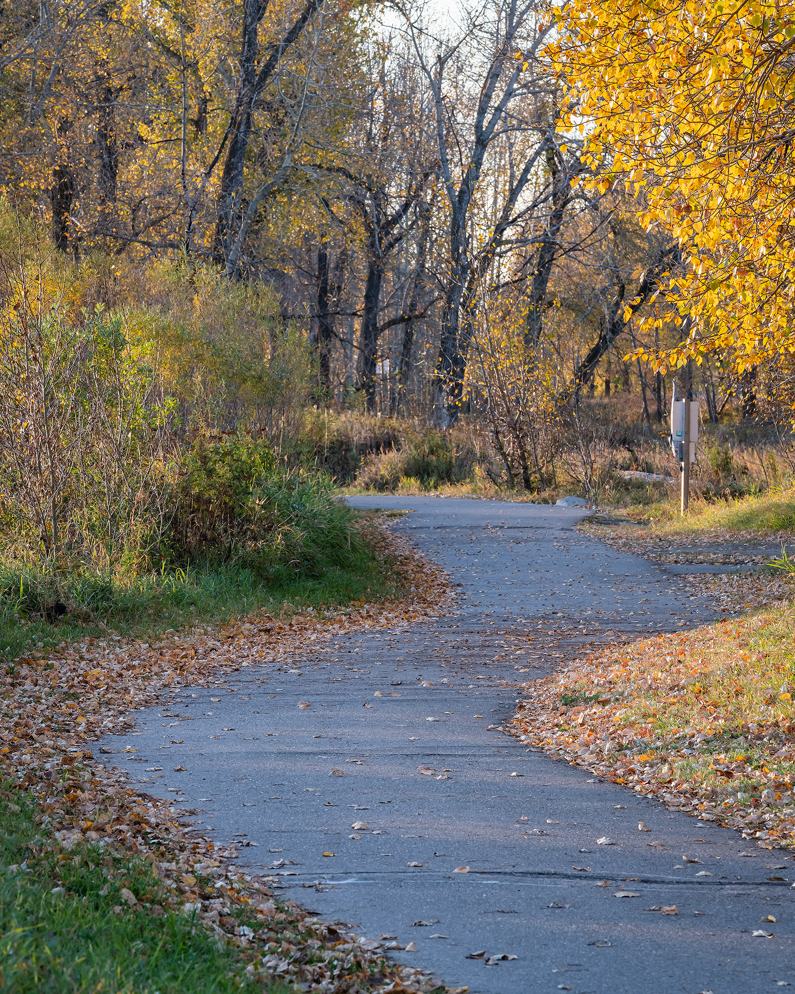 A park pathway, from the Mallard Point area of Fish Creek Provincial Park, Calgary, AB - October 12th, 2022 (8:31 AM, 39 Mp)