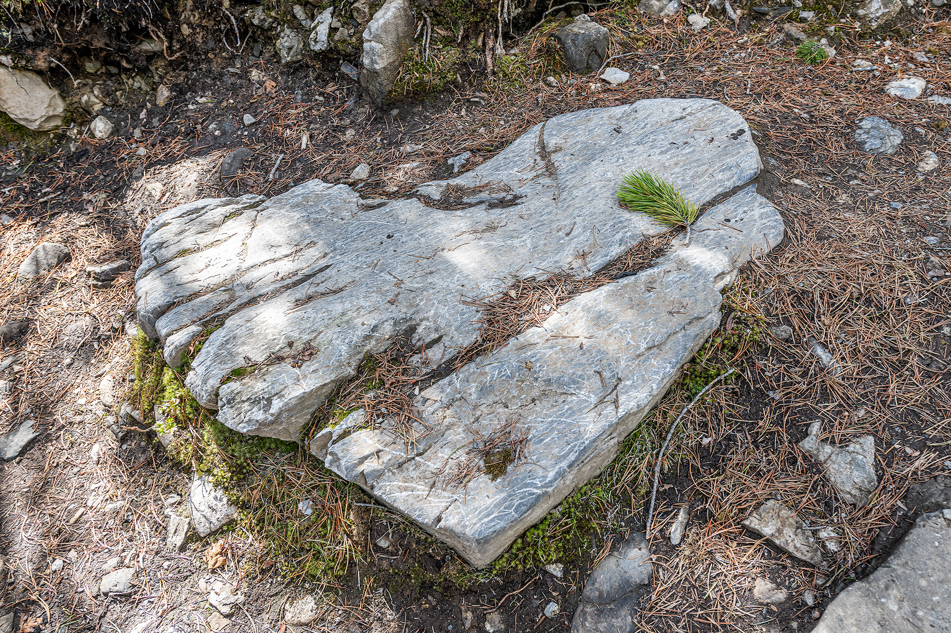 Heart shaped stone on the hiking path near Grassi Lakes Crag, Canmore area, Alberta