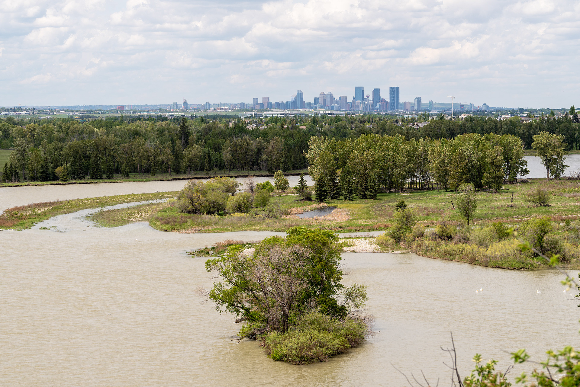 Upstream view along the Bow River from just north of Patterson Homestead Memorial Park, Bow River, Calgary, Alberta