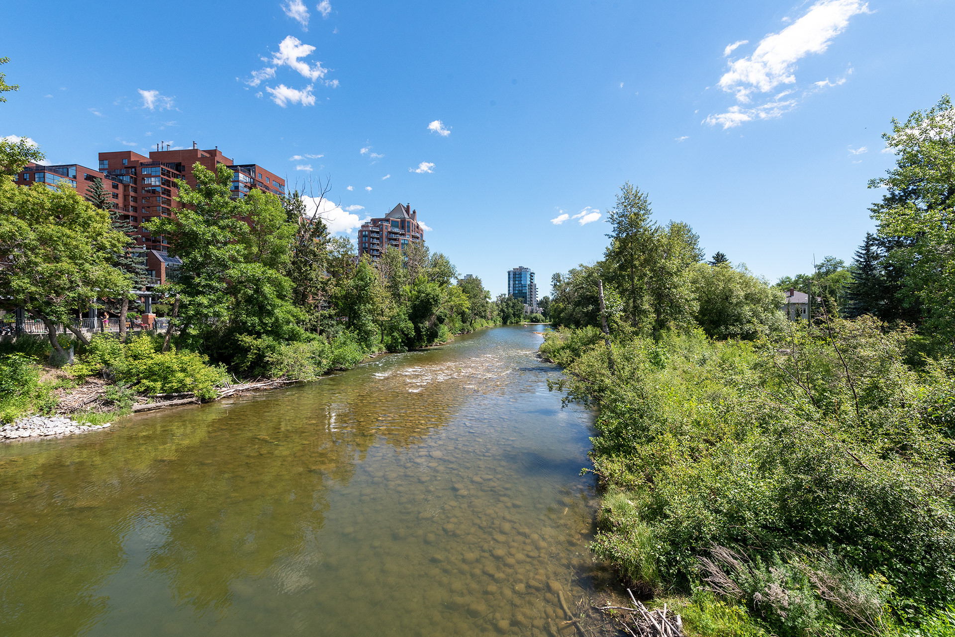 View of the Elbow River from near Rideau Park