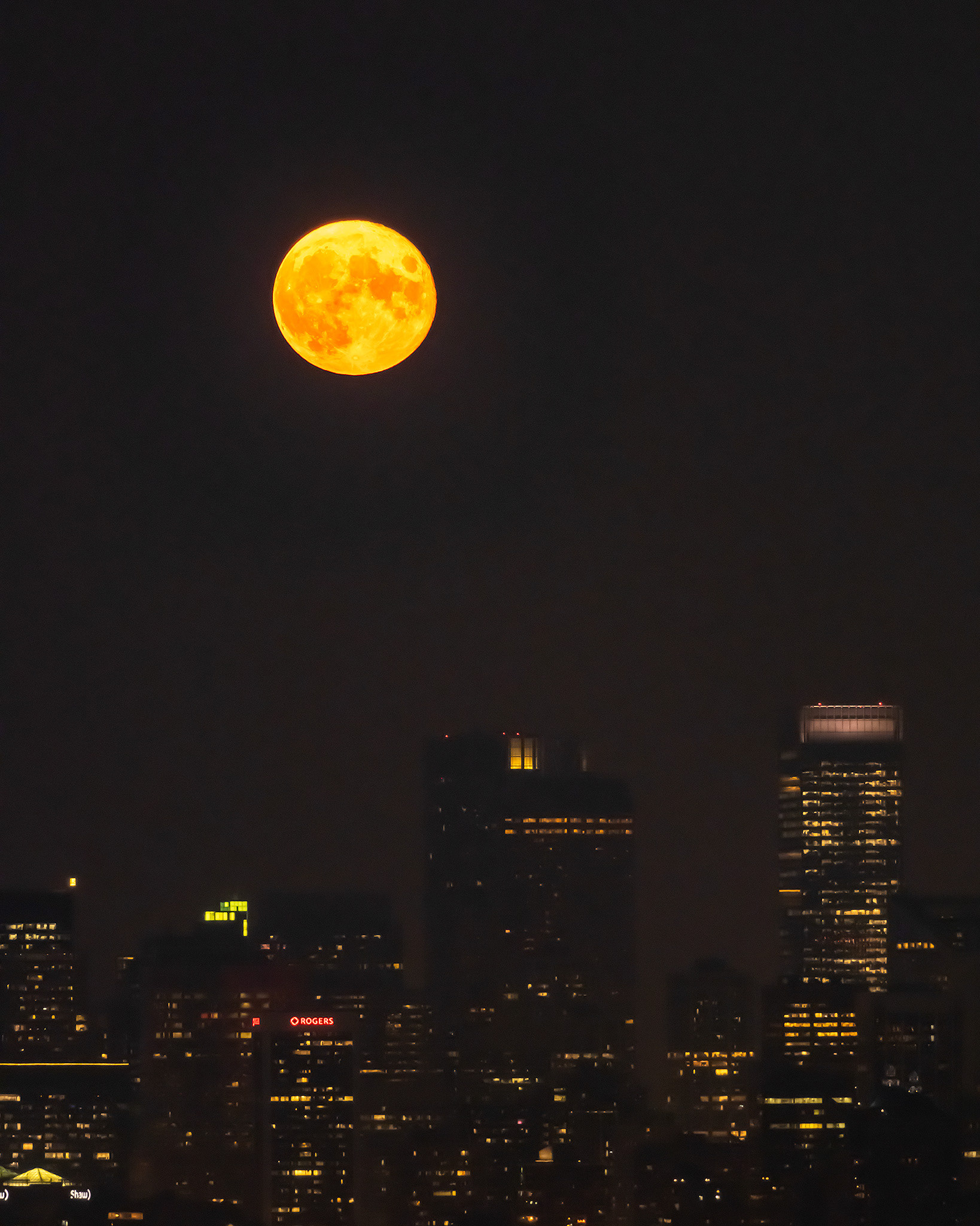 4x5 Cityscape of the tops of some Downtown Calgary buildings with the Harvest Moon, from Edworthy Park, Calgary, AB