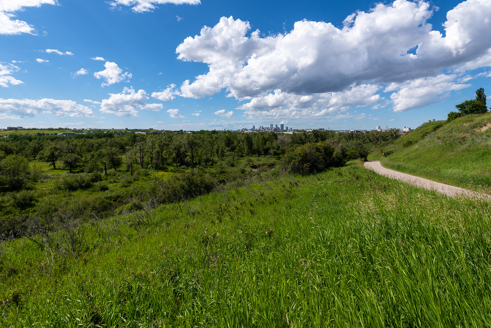 Overlooking Beaver Dam Flats from the Bow River Pathway, Calgary, Alberta