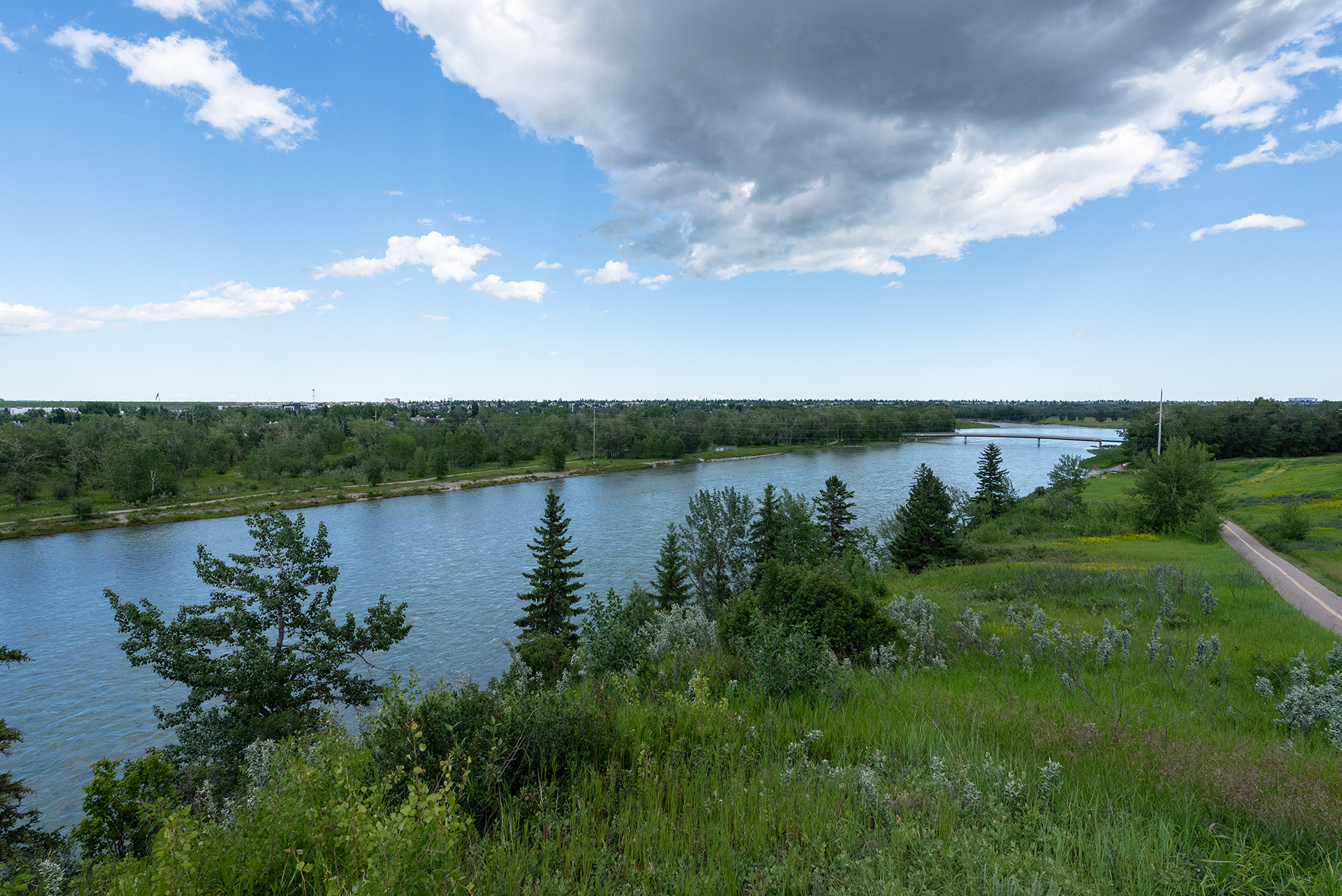 Downstream view of the Bow River from a little way up from the Sue Higgins Pedestrian Bridge in Douglasbank Park, Calgary, Alberta
