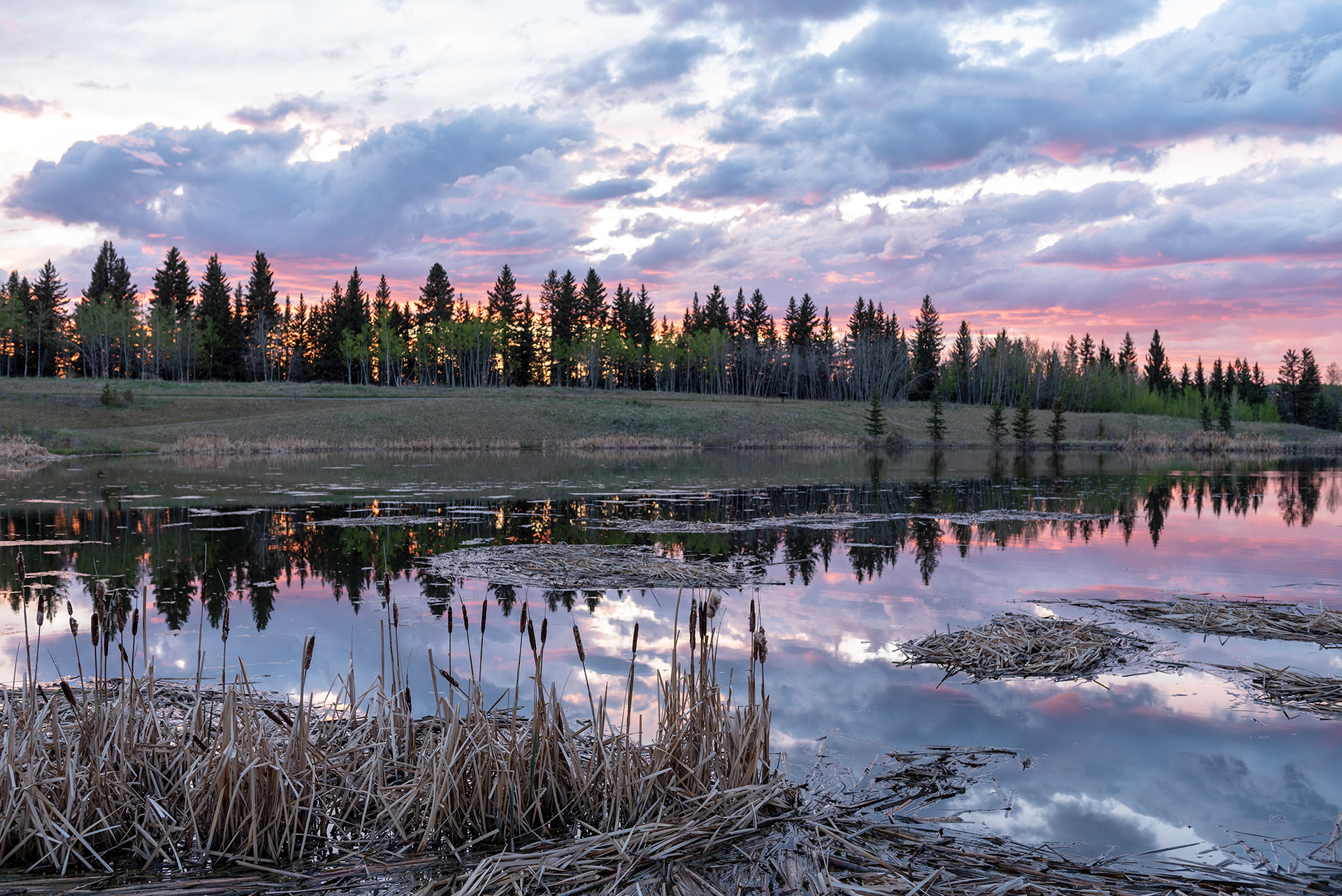 sunset, Marshall Springs, Fish Creek Provincial Park, Calgary, Alberta