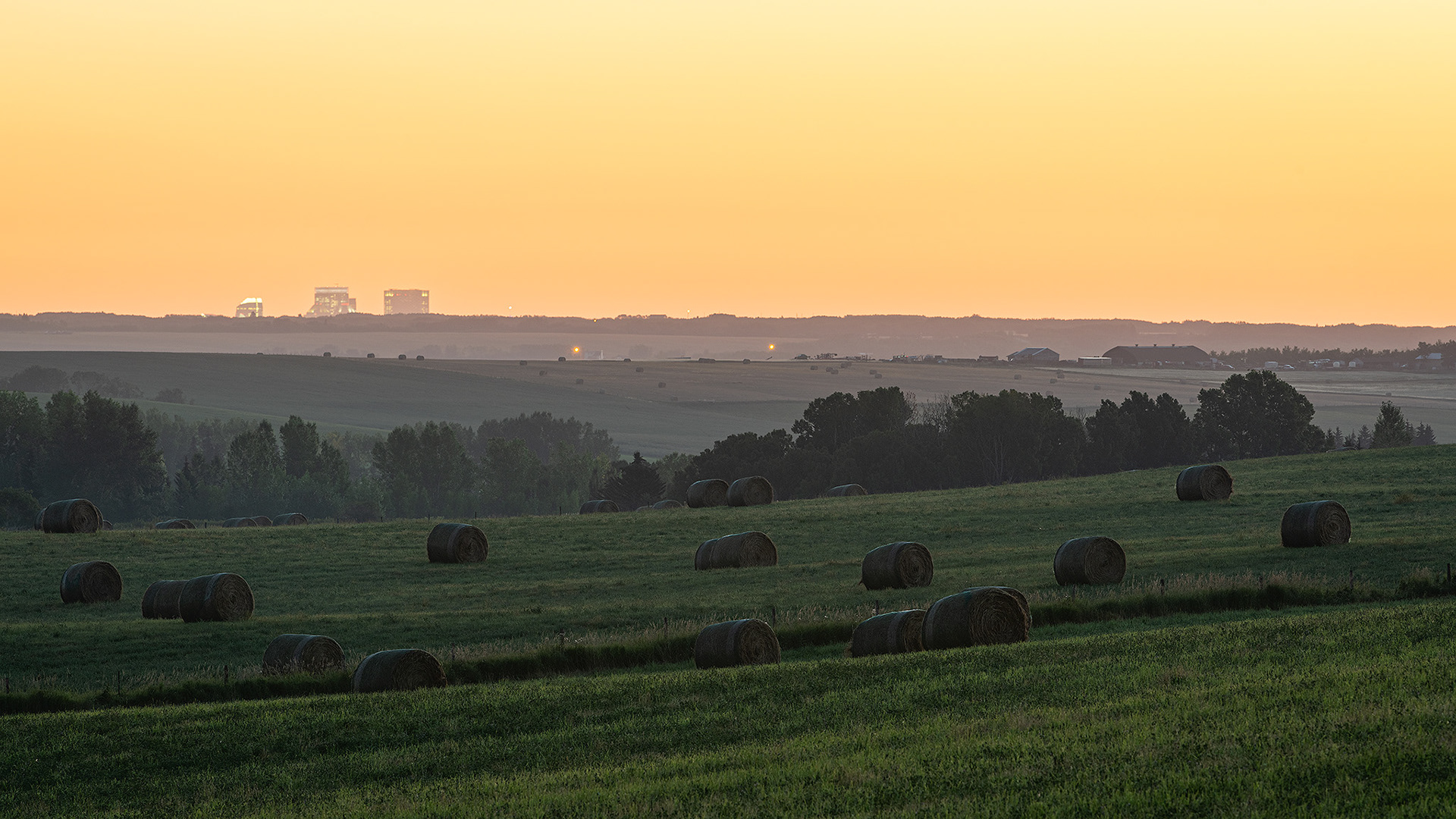 Hay bails/farm field, Foothills, AB