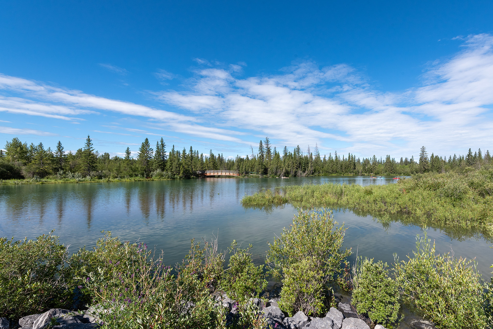 Upstream view of the Elbow River, just prior to it entering the delta