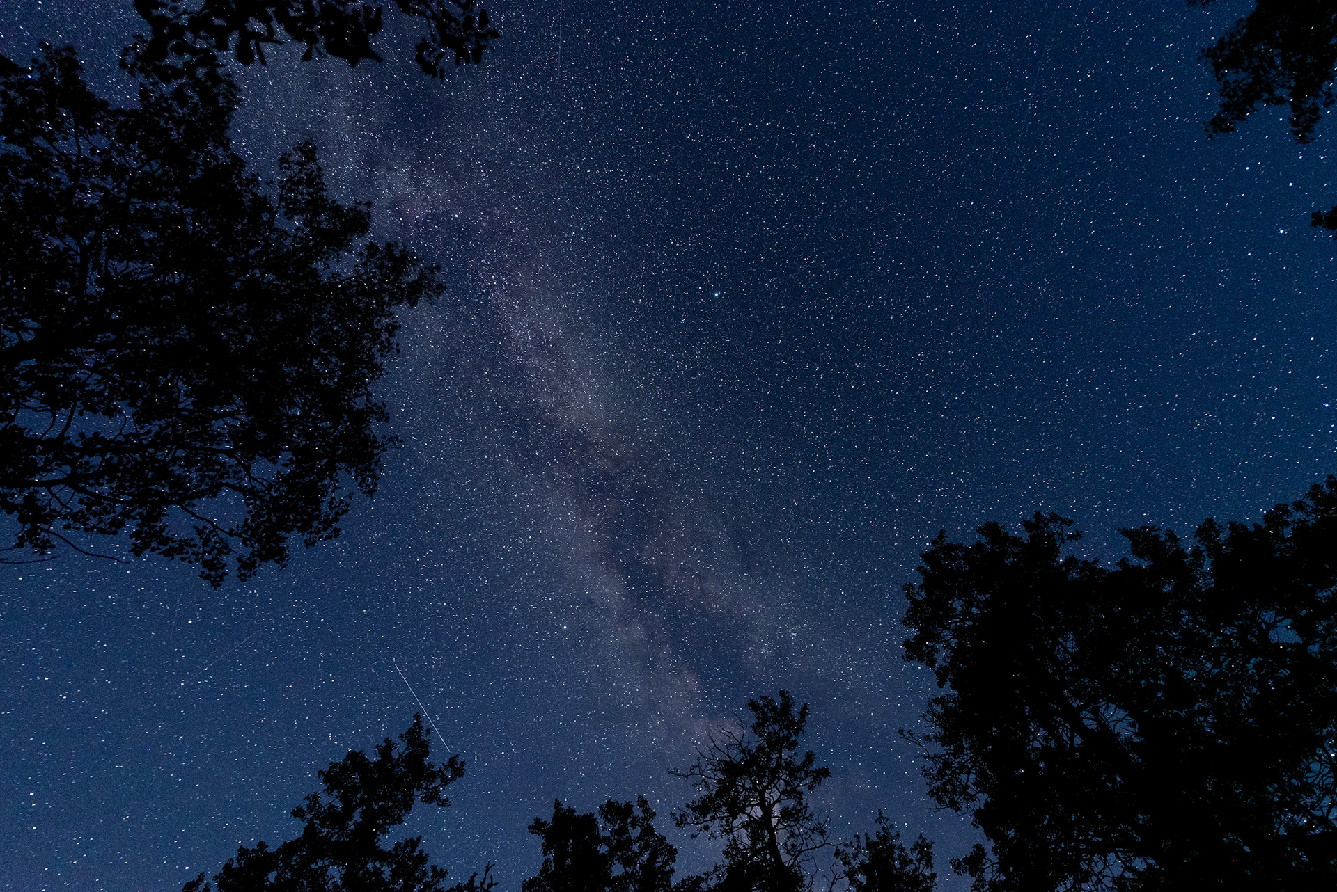 The Milky Way