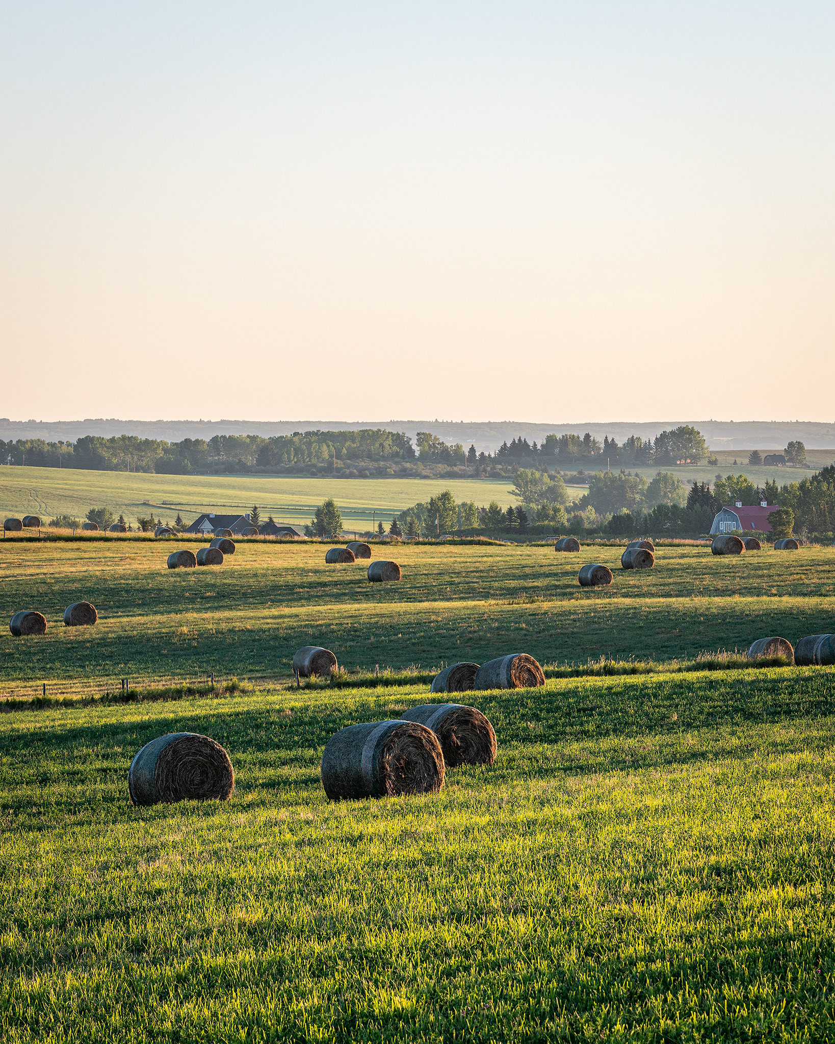 Hay bails/farm field, Foothills, AB